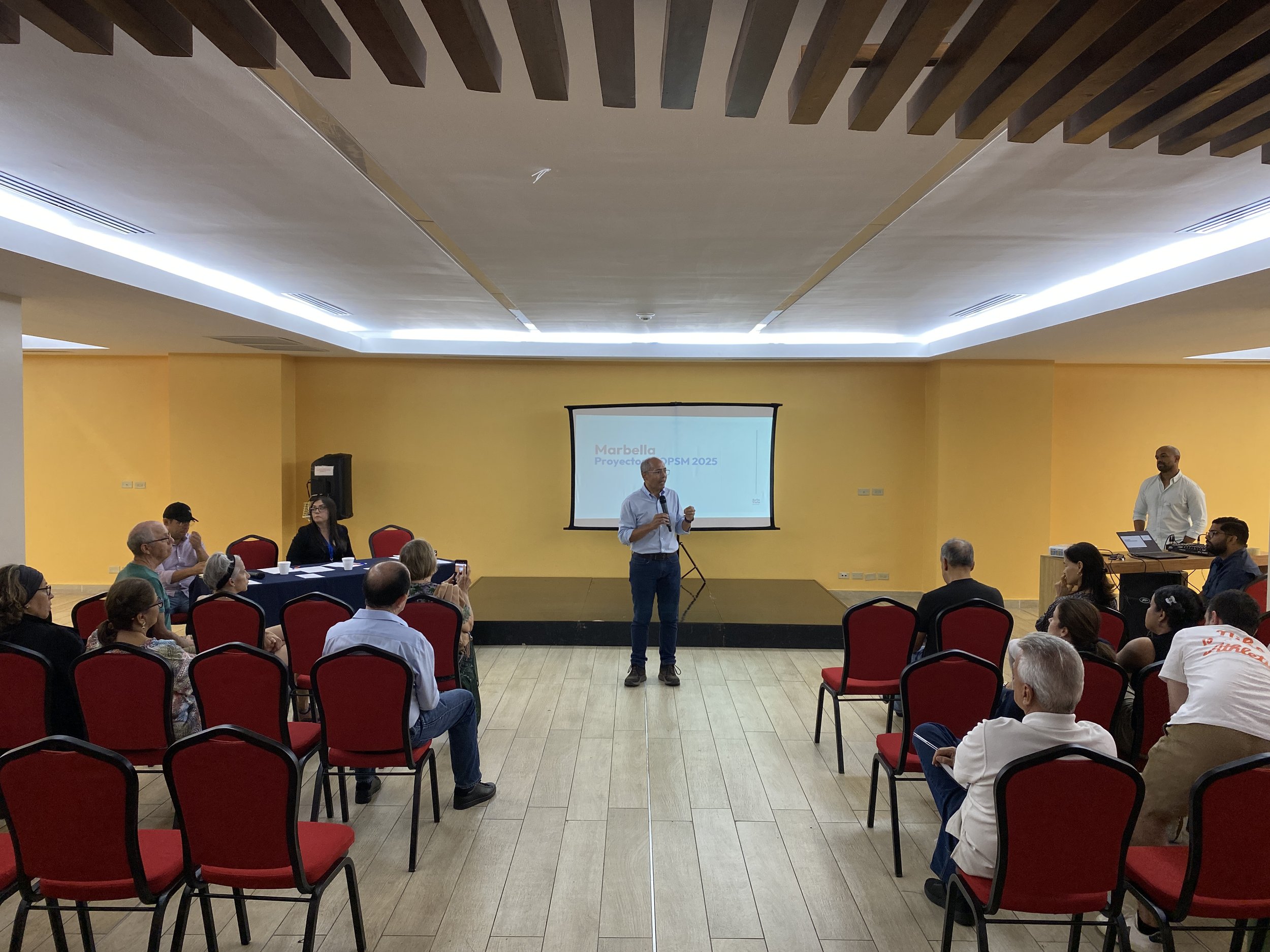 Audiencias Publicas (PIOPSM 2025)