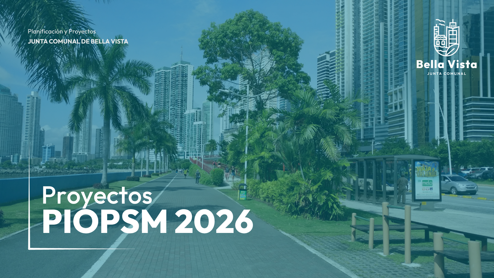 Consulta técnica y comunitaria para los PIOPSM 2026