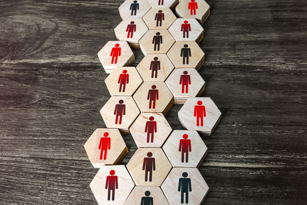 Organisational Change Management — Your People Champion