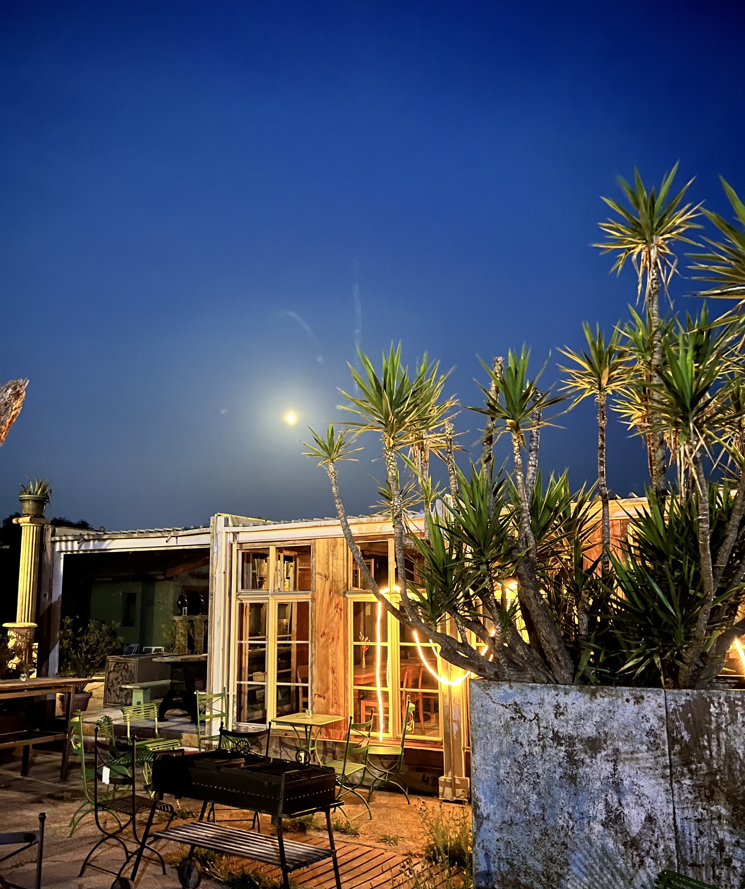 Außenbereich der Blauen Halle bei Nacht – stimmungsvolle Beleuchtung, historische Fensterfront, grüne Bistrostühle und Palmen im Vordergrund