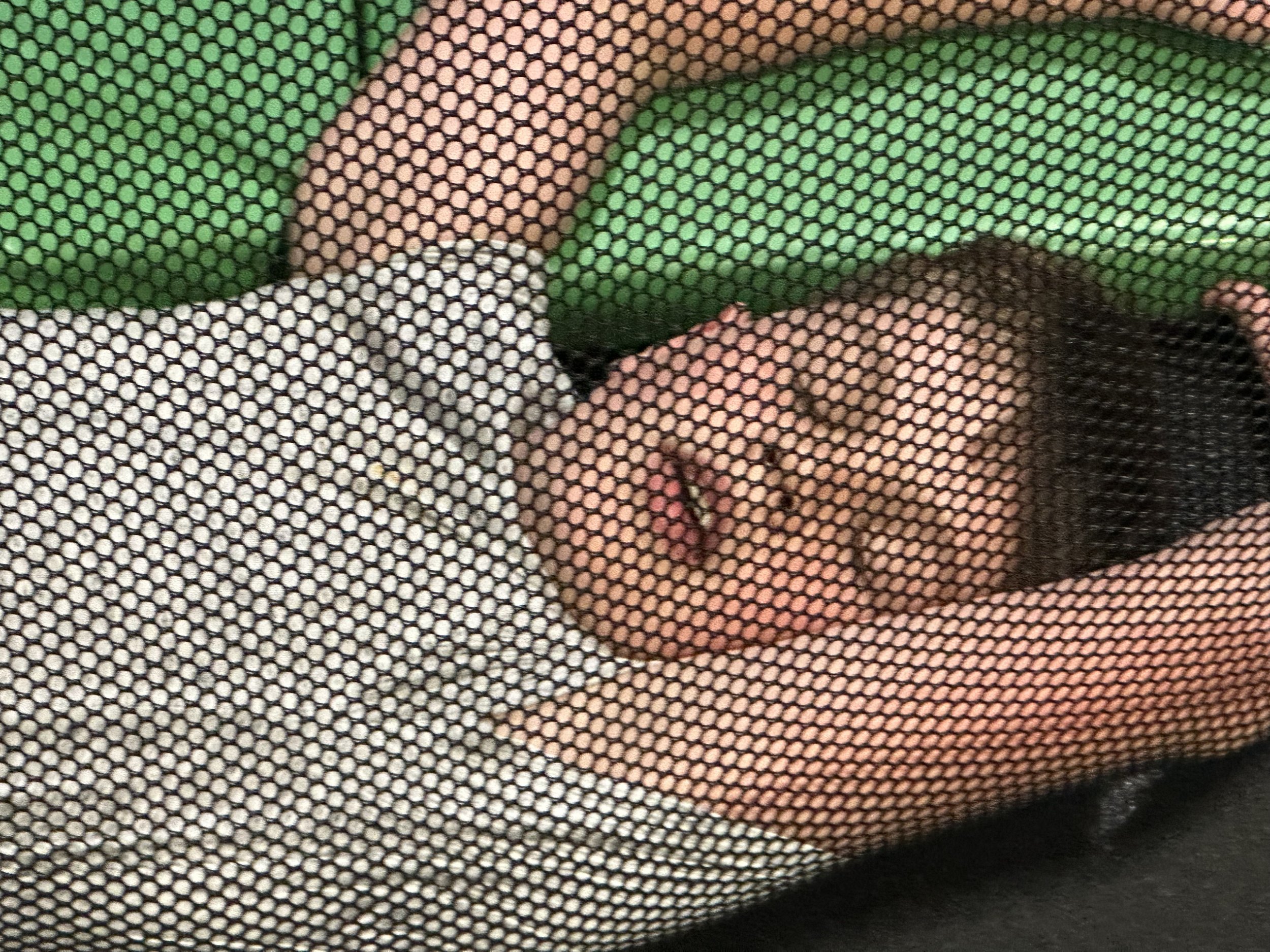 IMG_1941.jpeg