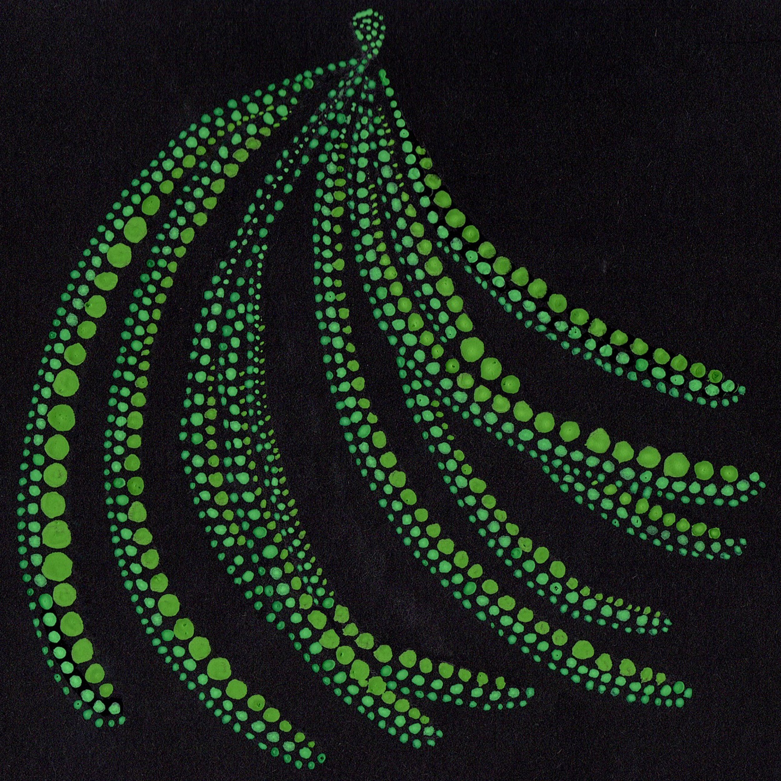 VANILLA FRUIT