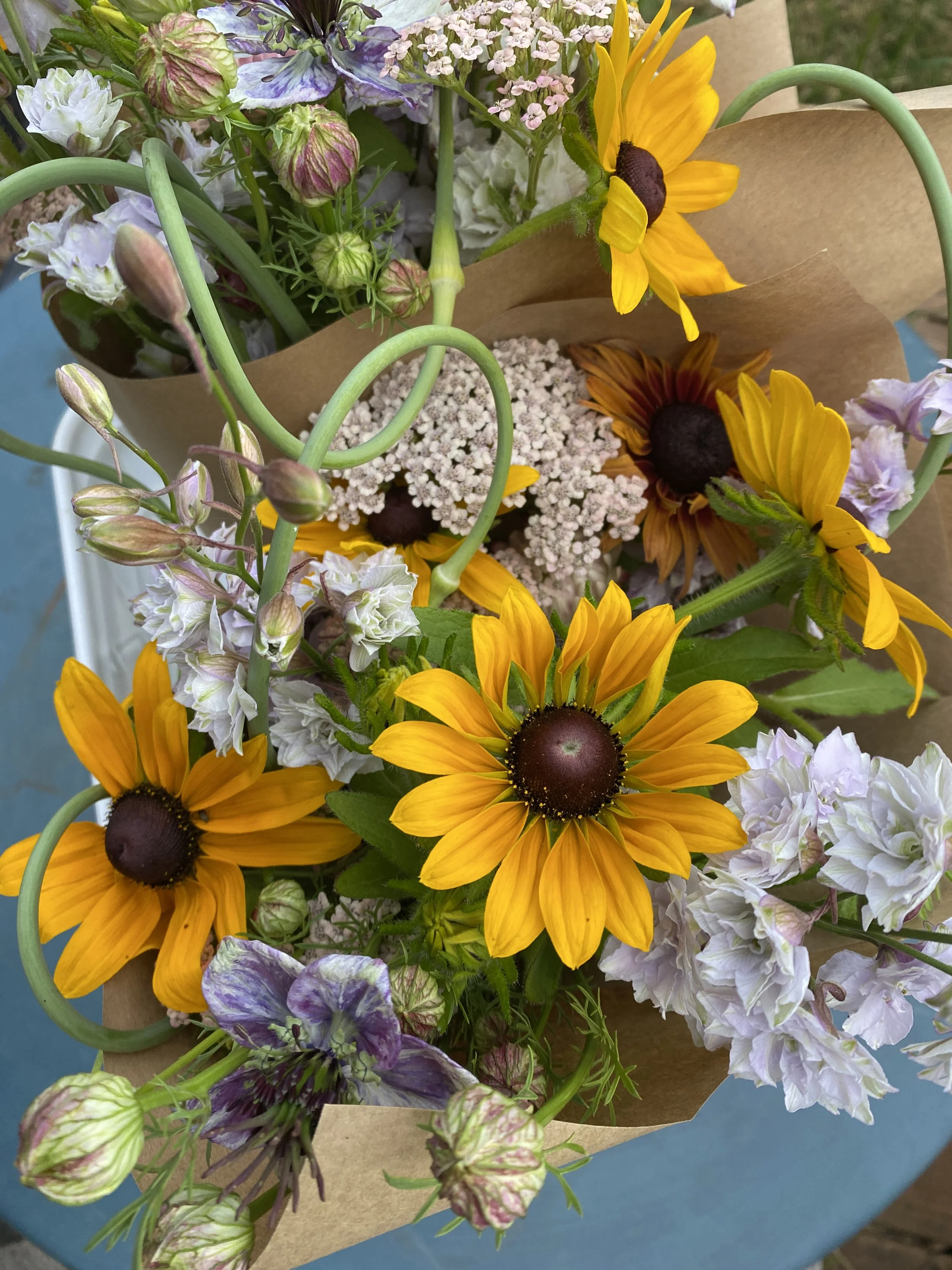 Early Summer CSA - 4 Weeks