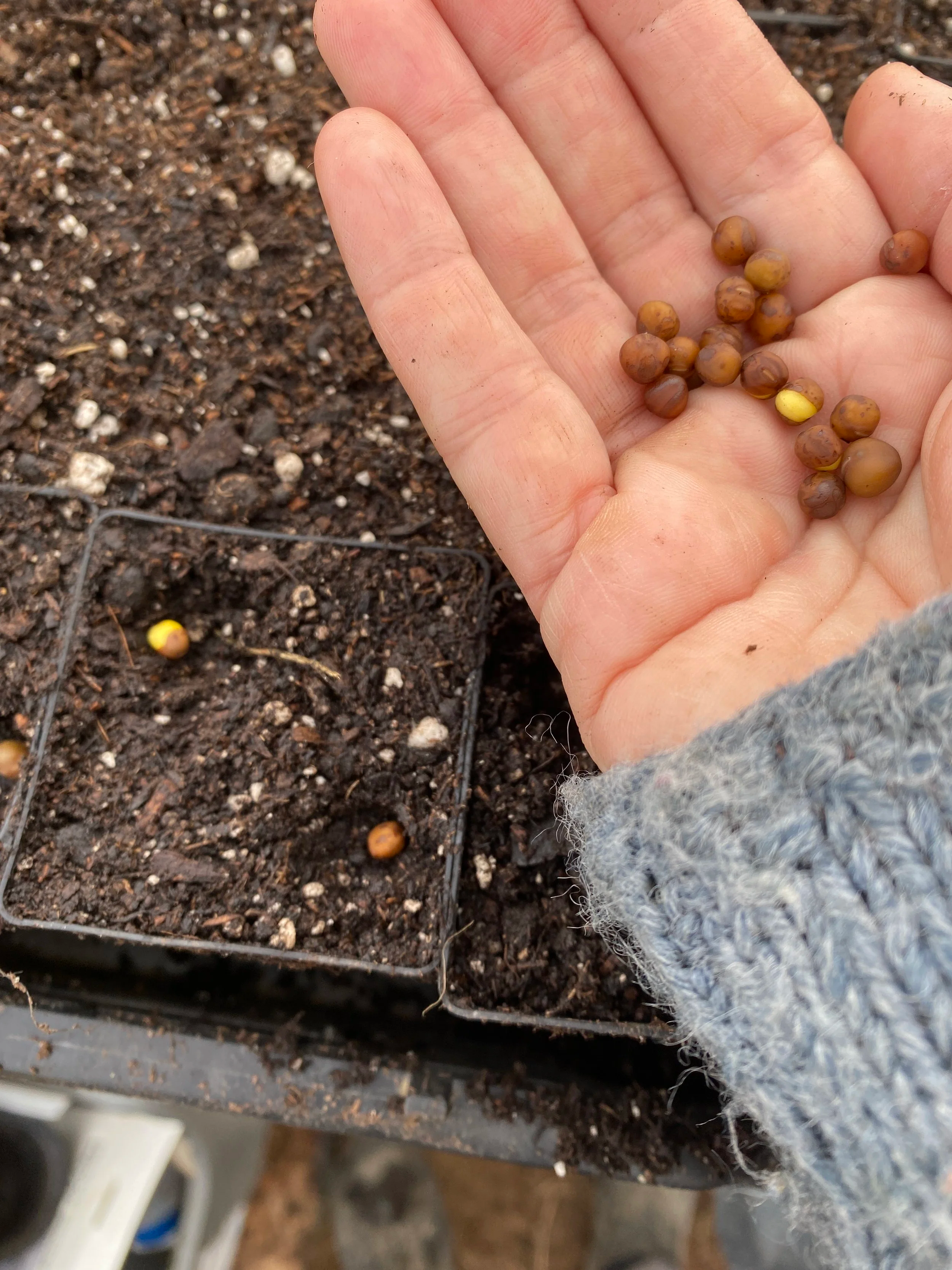 Thank you for joining me! 