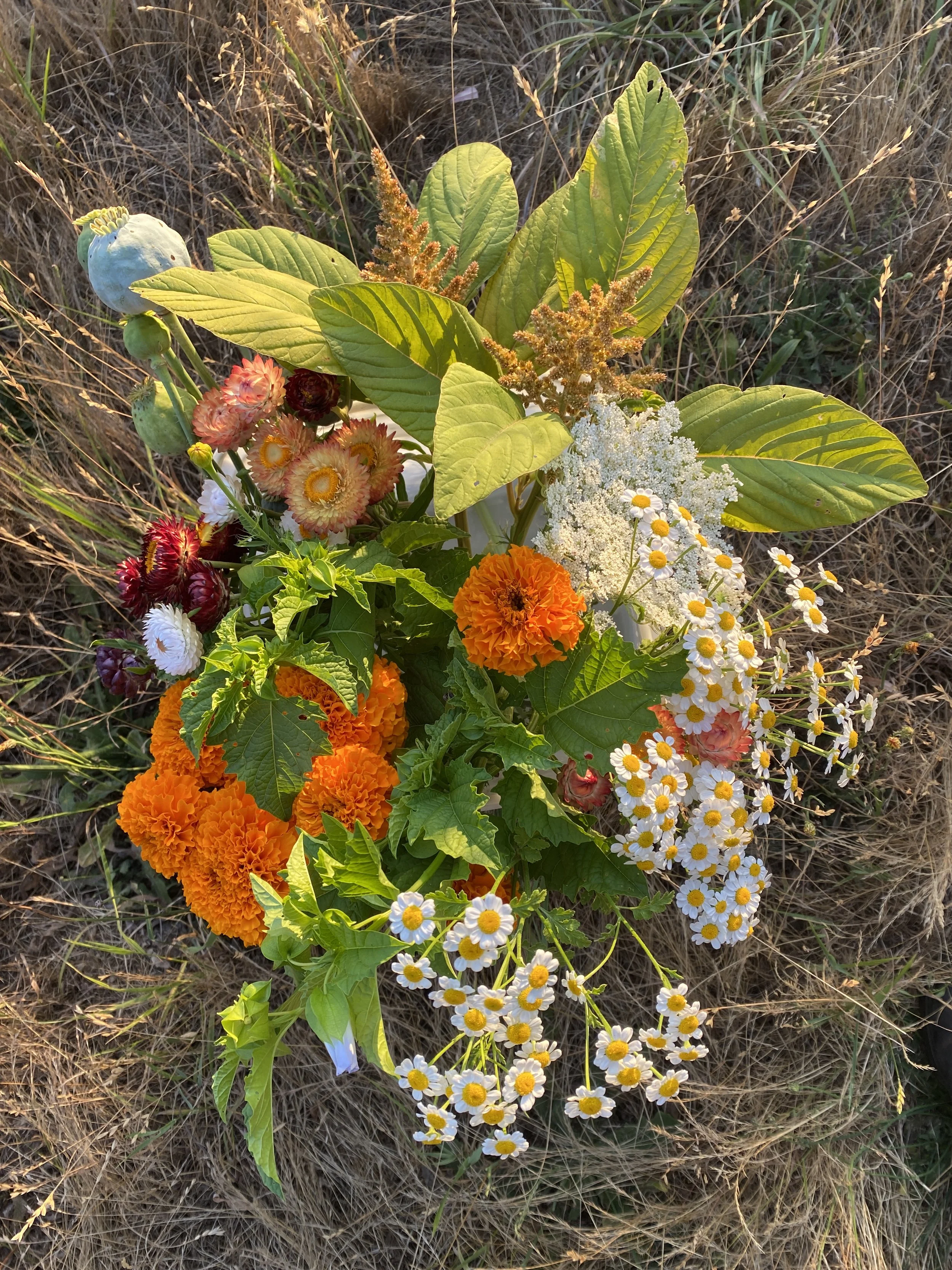 DIY Bucket:  Pre-Order