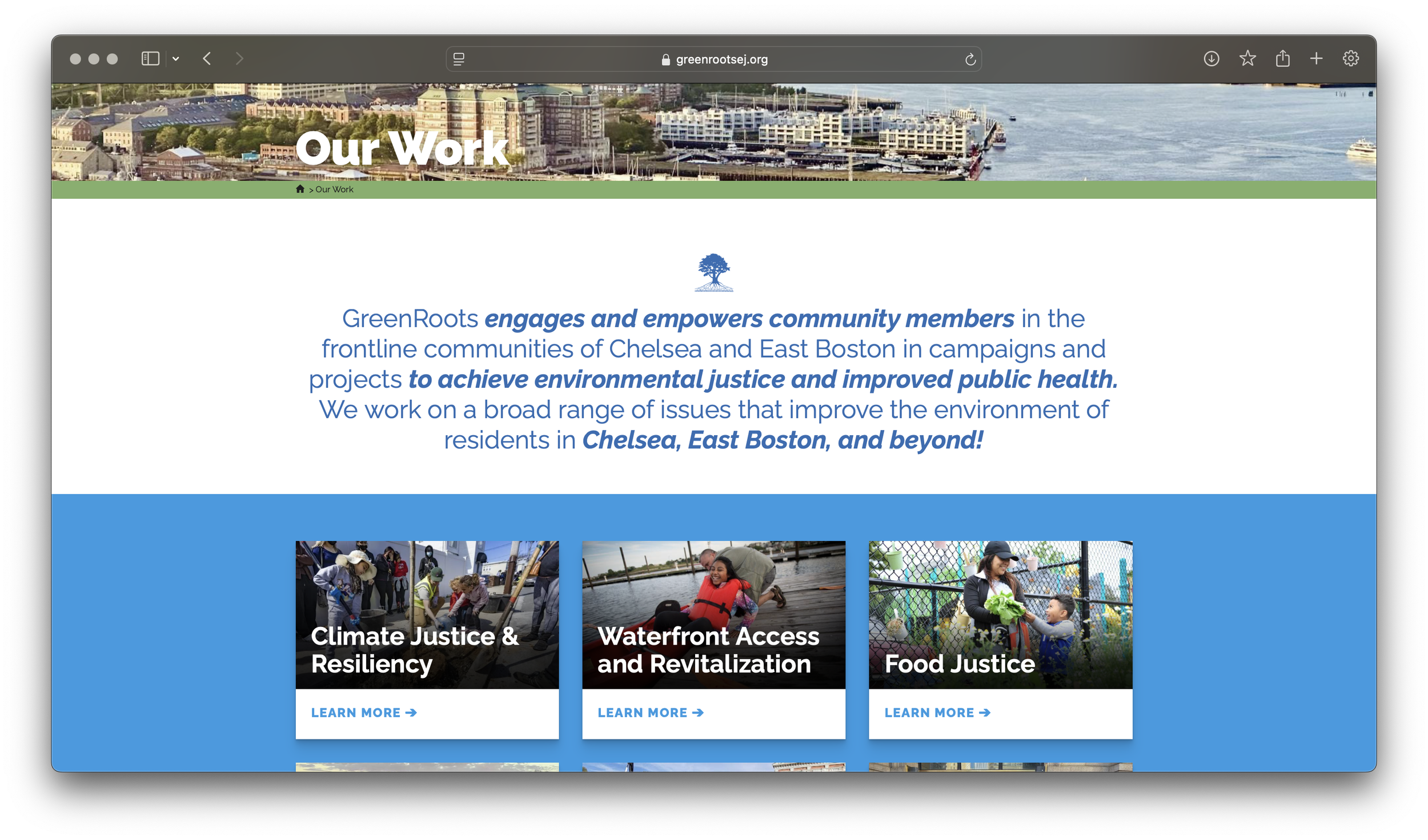 Screenshot of GreenRoots' Our Work page. There is text and boxes with images.