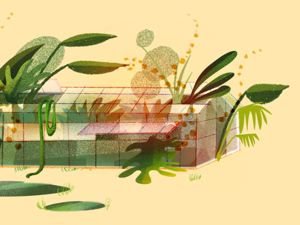 PlantLife2.png
