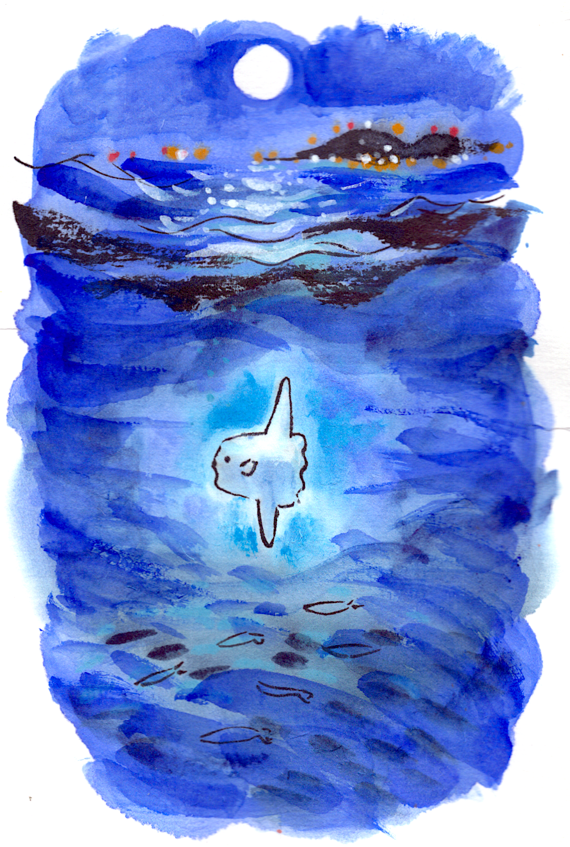Mola Mola Moon postcard
