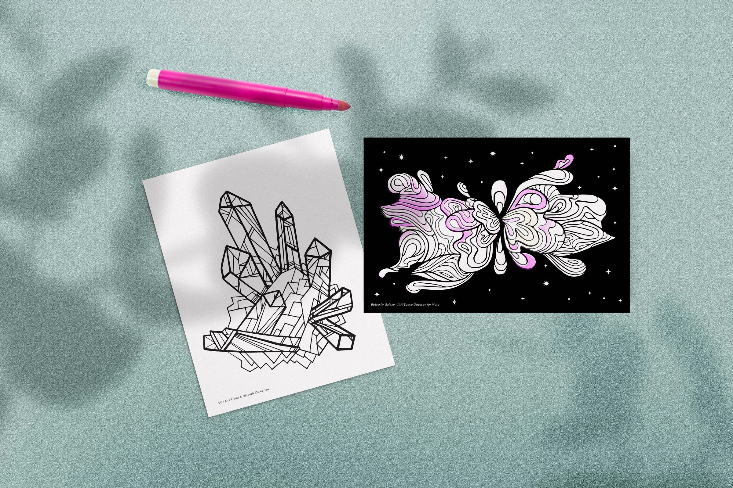 DMNS-coloringpostcards.jpg