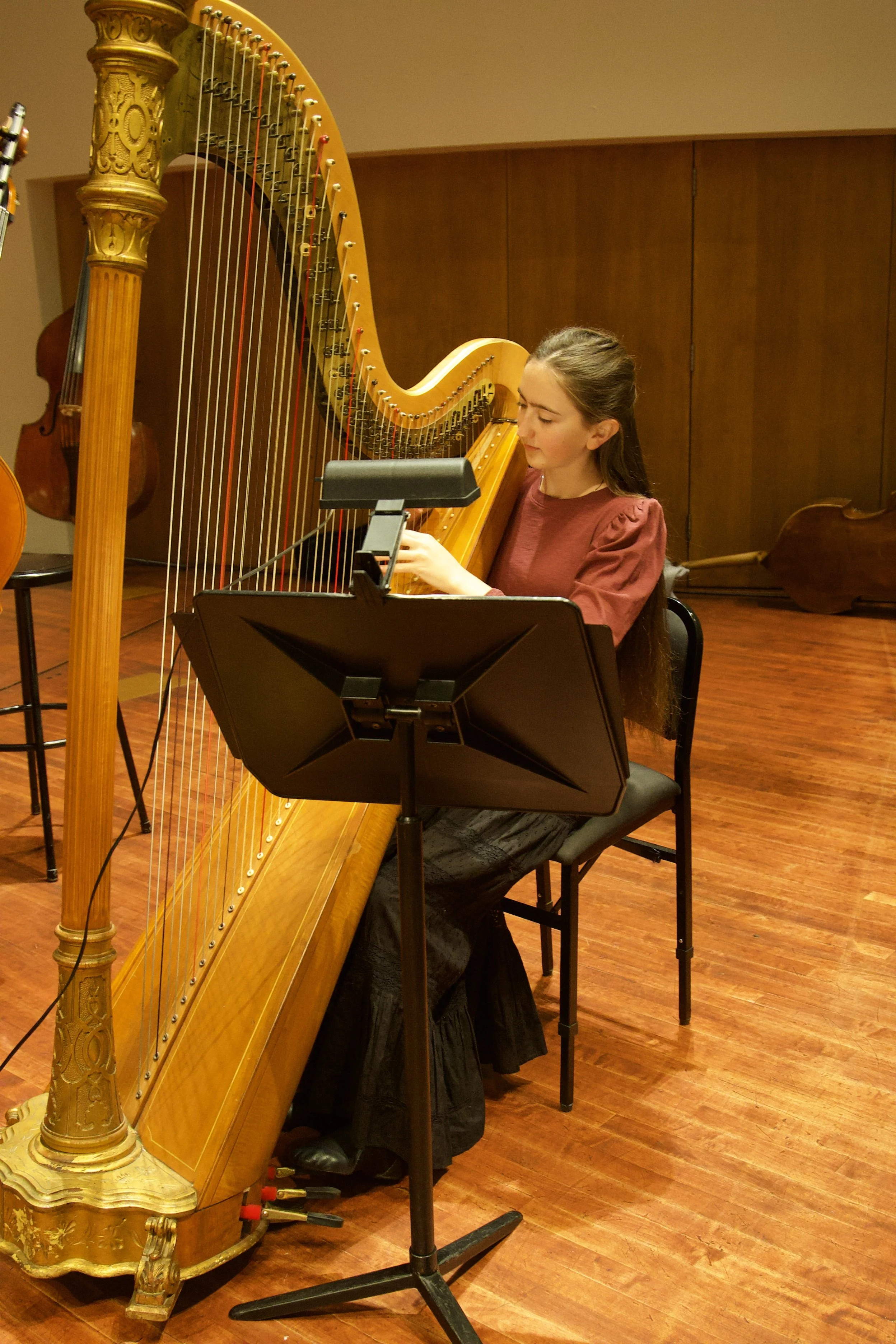 Concert harpist, available for booking near San Luis Obispo, Arroyo Grande, Pismo Beach, Cayucos, Cambria, Big Sur, Templeton, Atascadero, Morro Bay, Paso Robles, Santa Ynez, Los Olivos, Los Alamos, Santa Barbara, Ventura, Ojai, and Montecito.