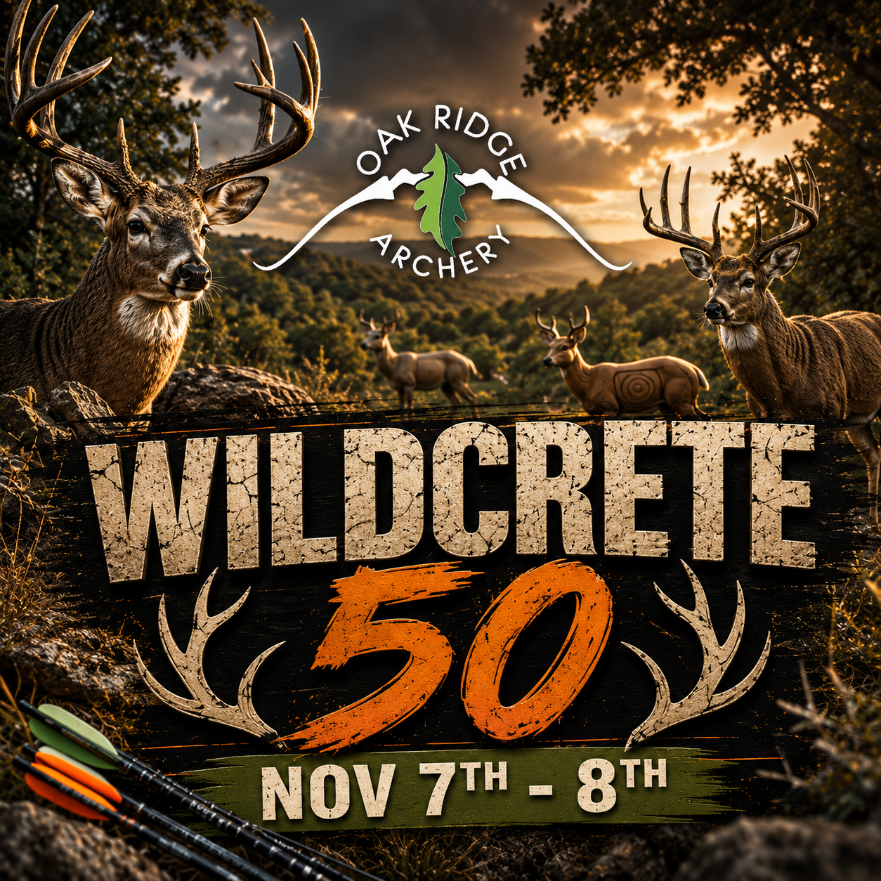WILDCRETE 50
