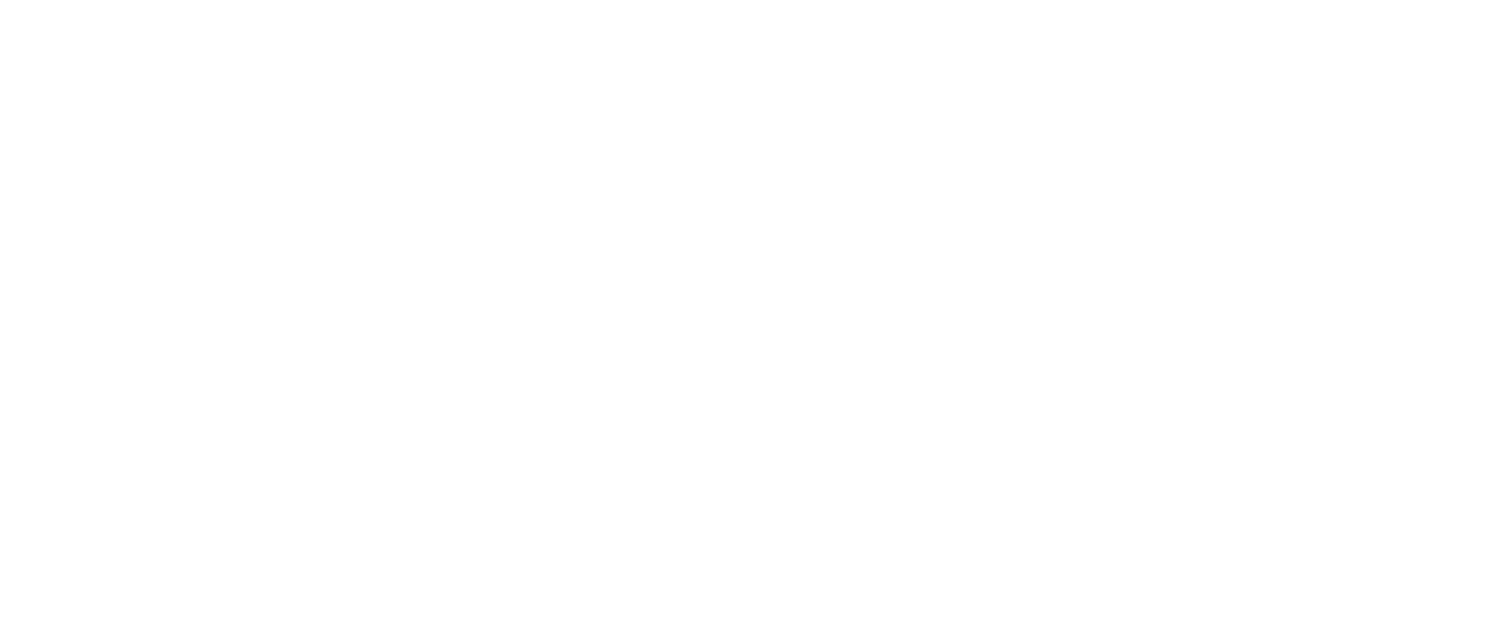 BetFlag logo.png