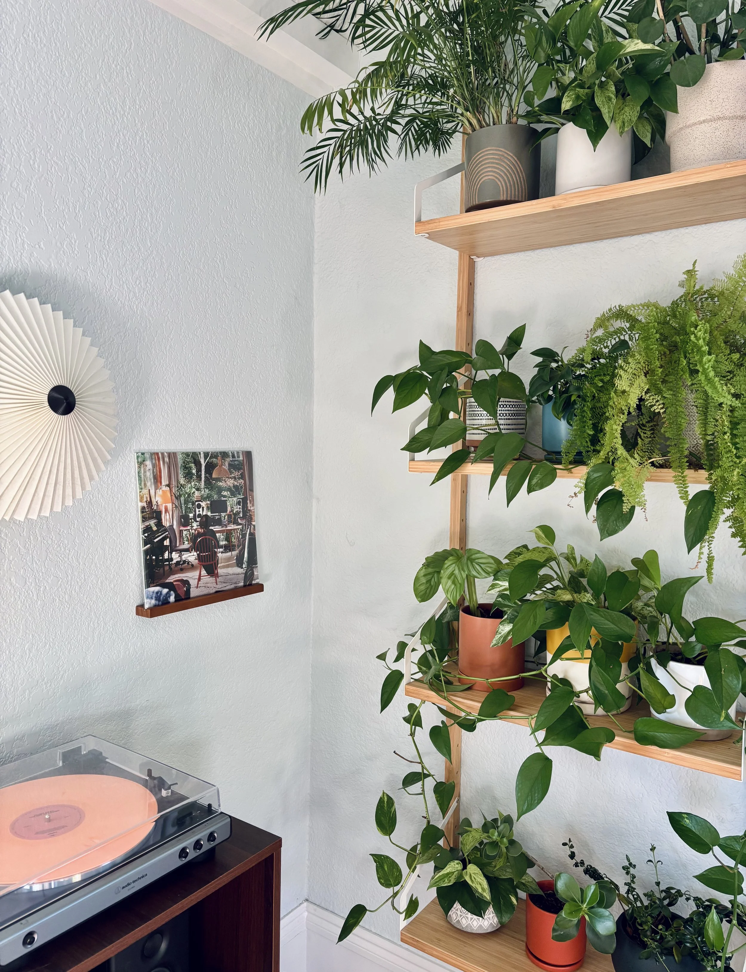 Therapy Space 2.jpeg