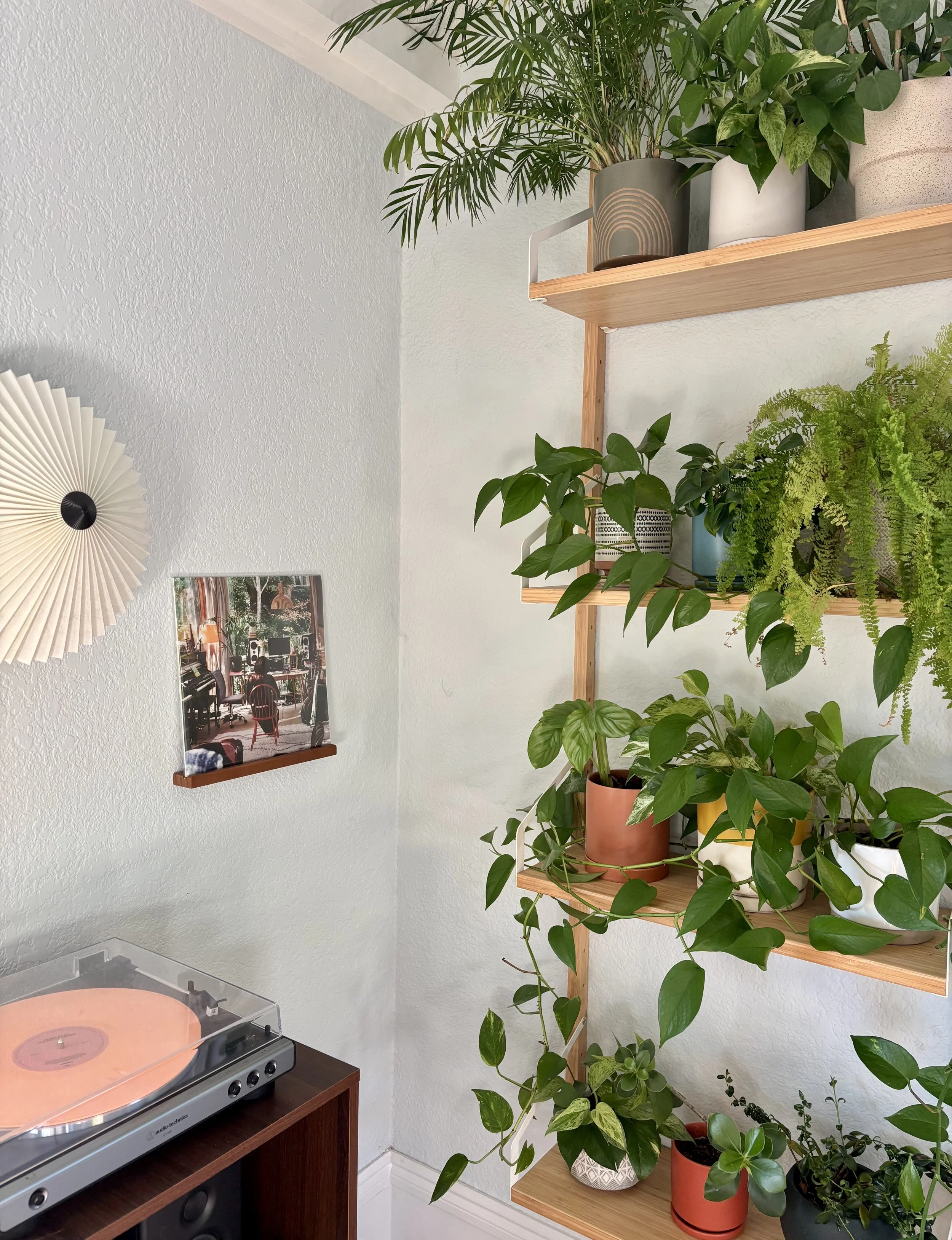 Therapy Space 2.jpeg