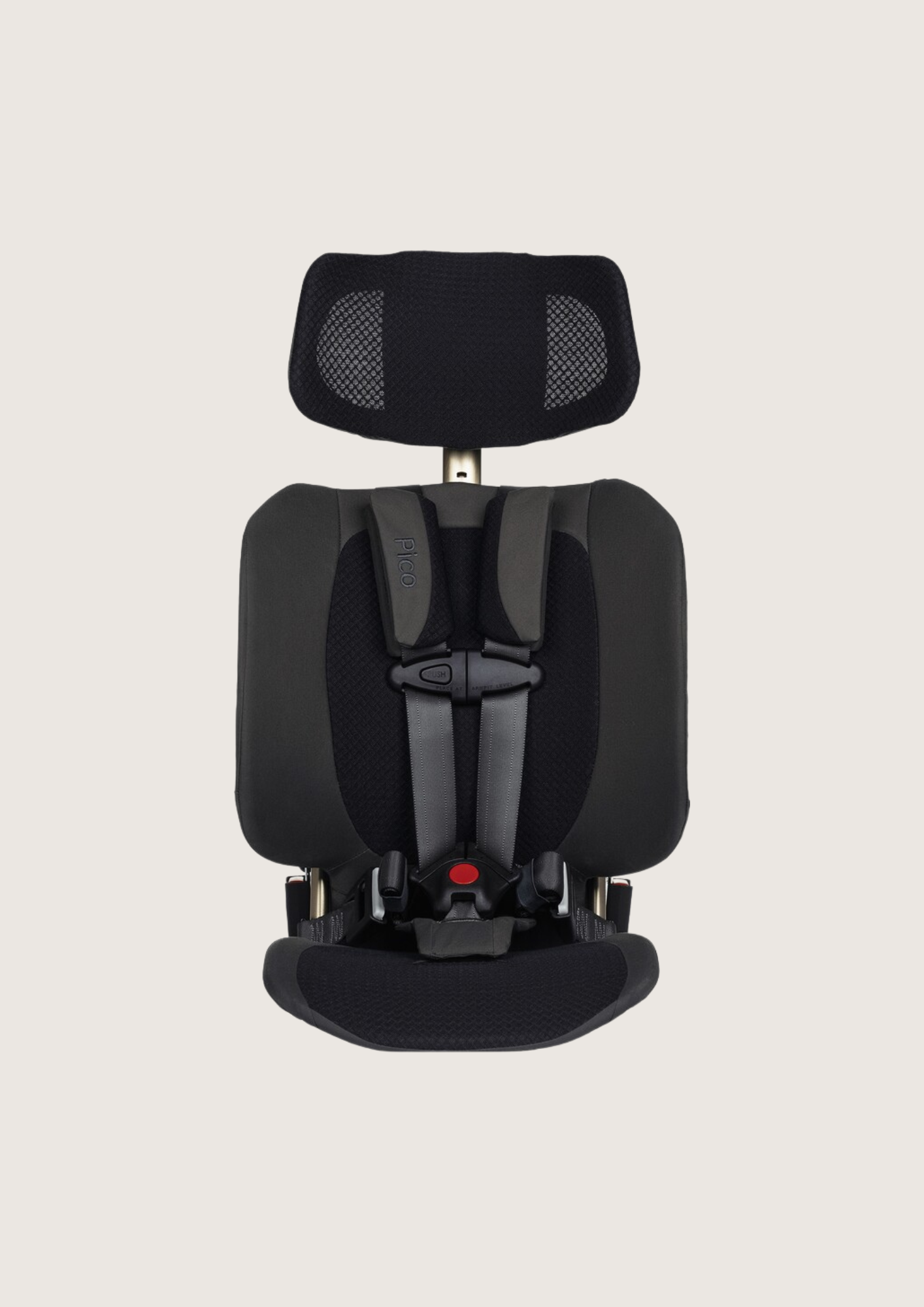 Car Seat or Booster Seat