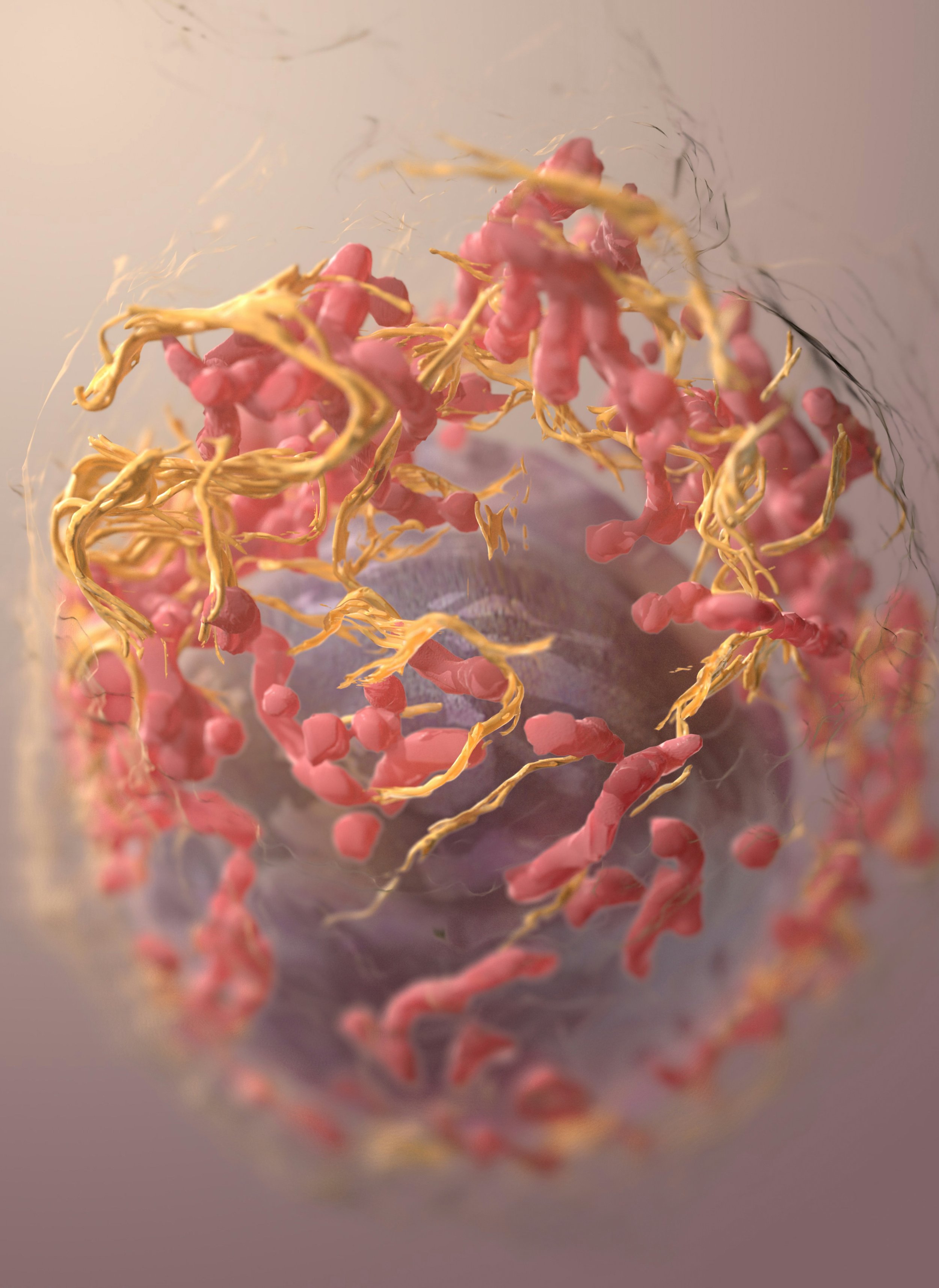 How to Improve Mitochondrial Health
