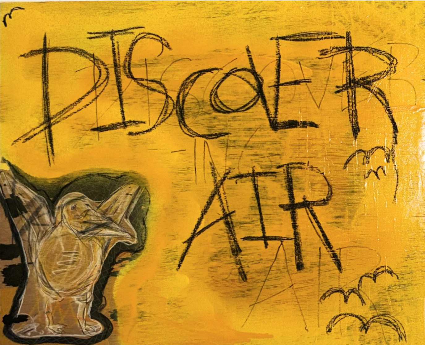 discover air.png