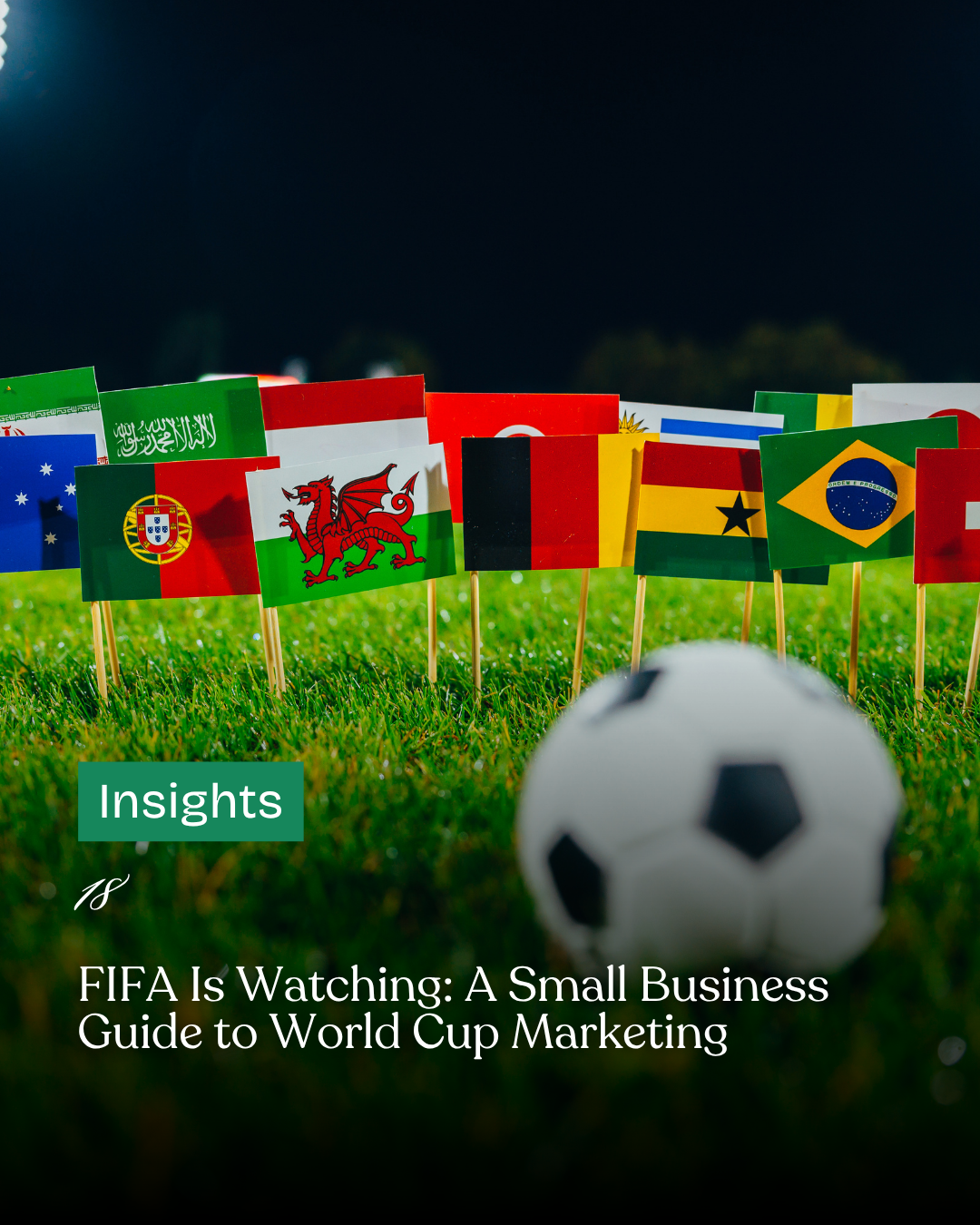 18 - FIFA Is Watching: A Small Business Guide to World Cup Marketing