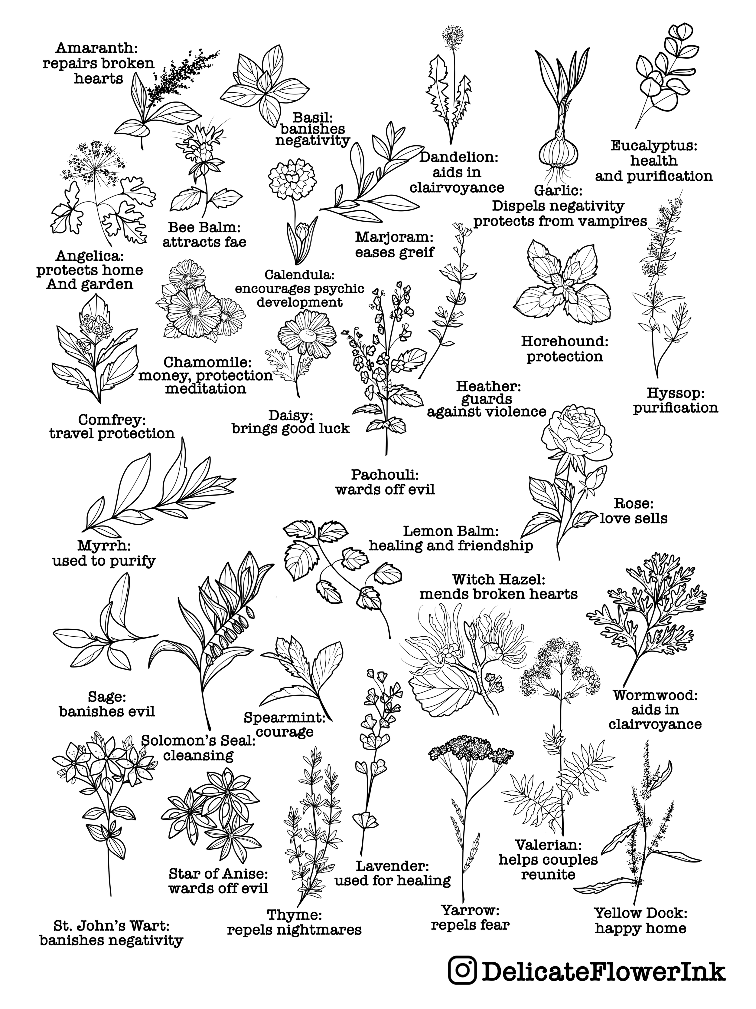 Flowers & Herbs