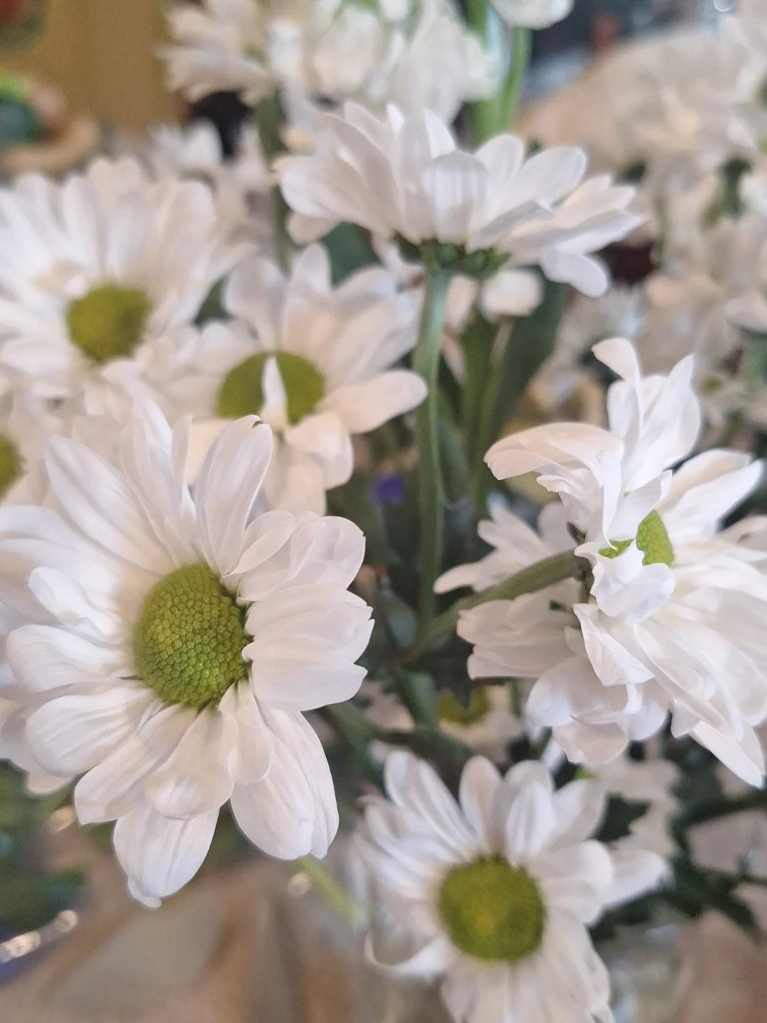 Hope in A World That Feels Broken