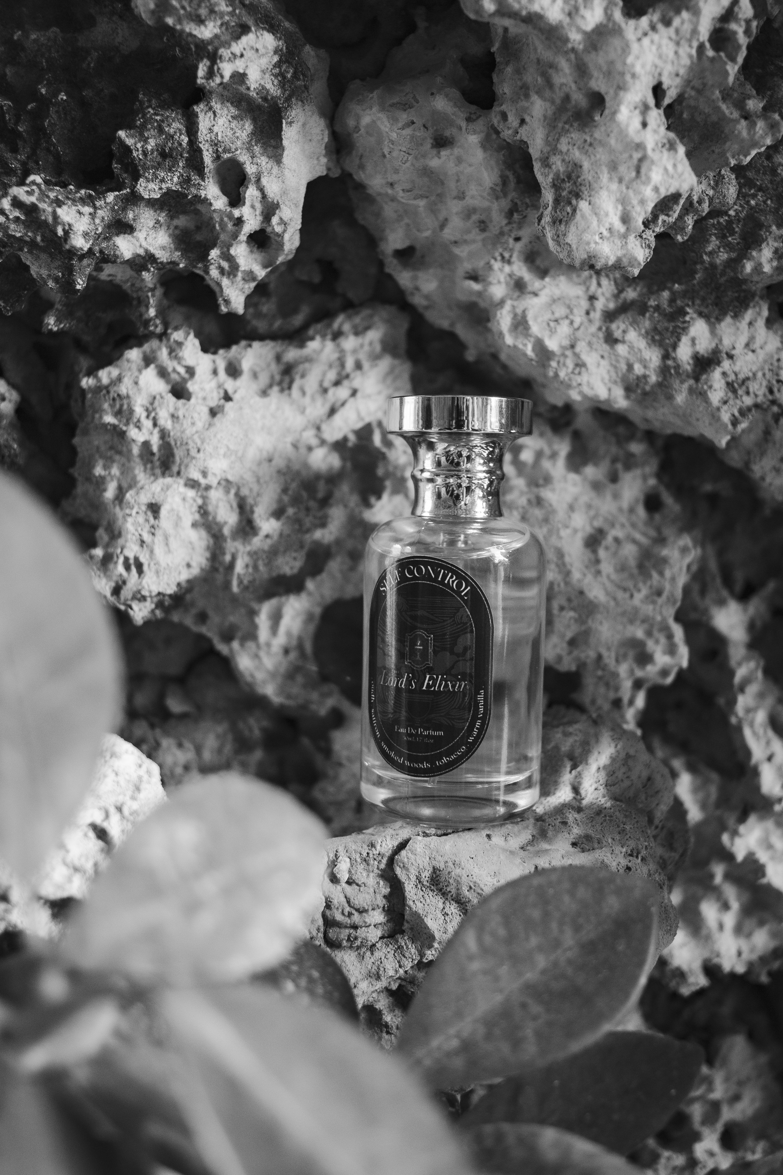 A clear perfume bottle with a metallic cap, labeled 'Lord's Elixir,' positioned against a background of large rocks or coral in black and white.