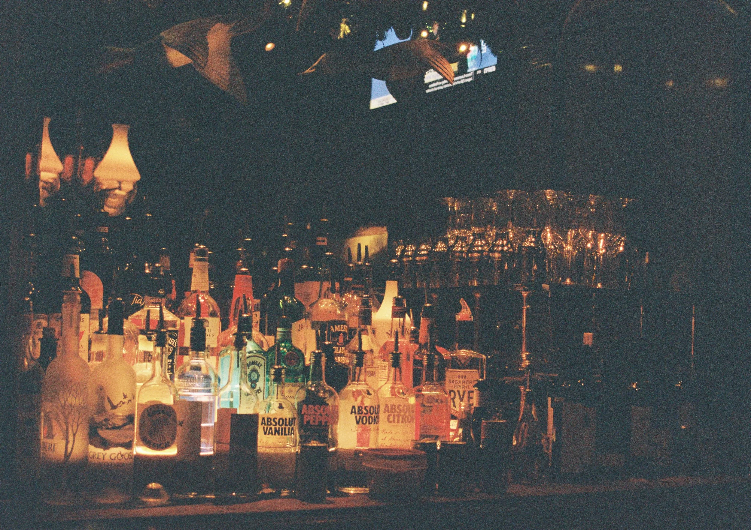 Old Ebbitt Grill; Washington DC; 35mm Film; 2024