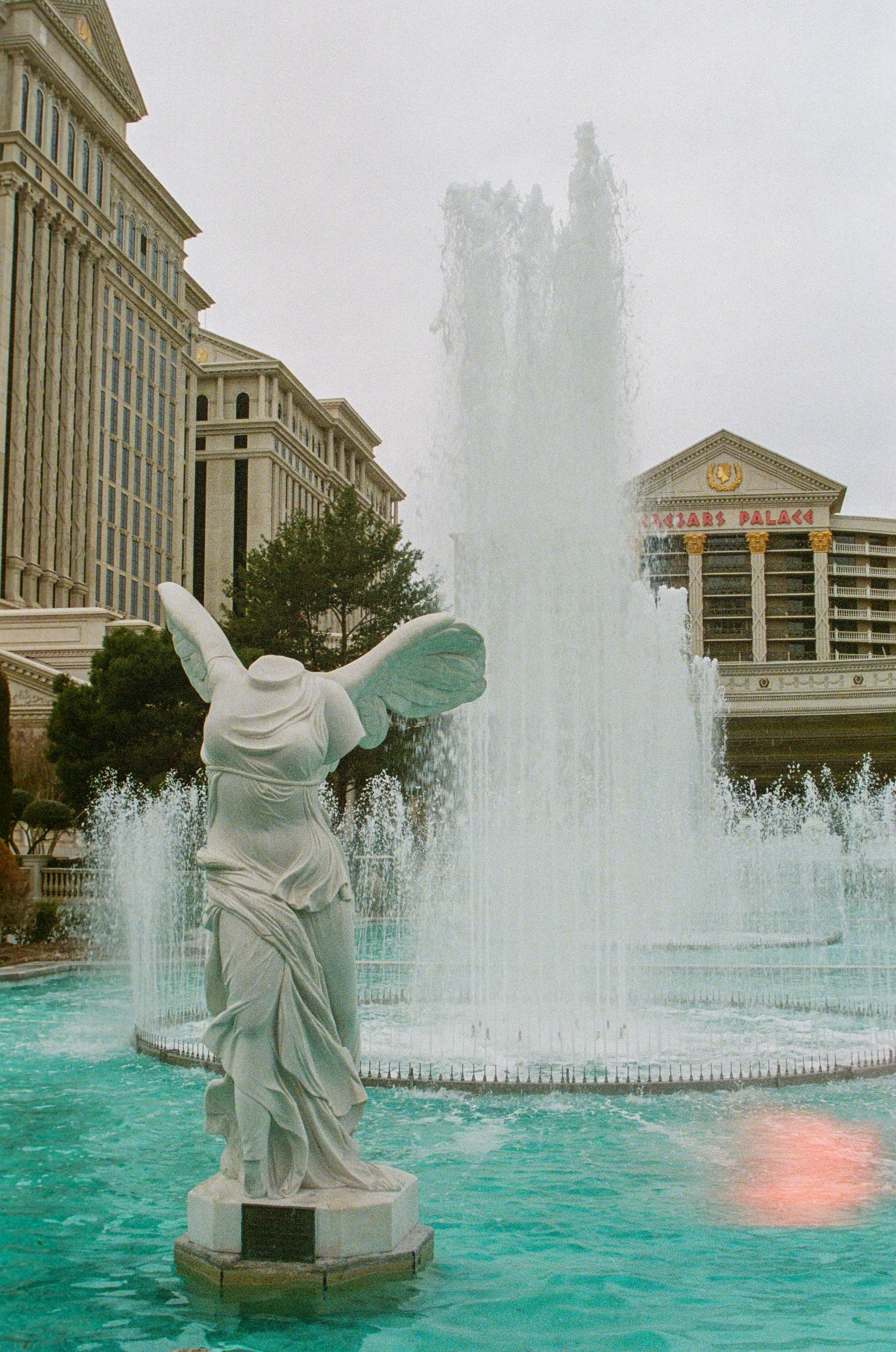 Cesar's Fate; Las Vegas; 35mm Film; 2026