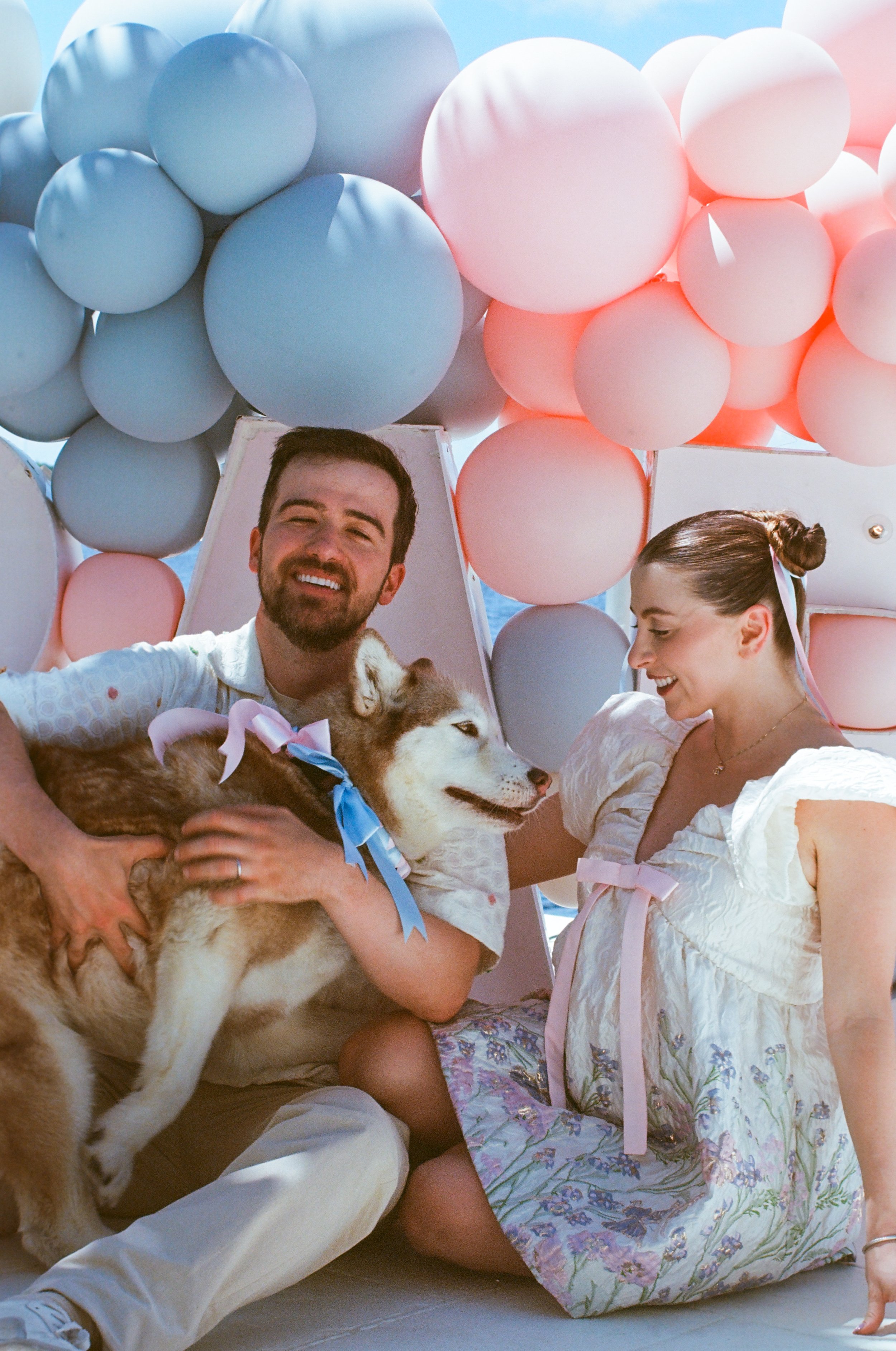 A man and woman celebrating with blue and pink balloons in the background, sitting on a boat or deck, with a husky puppy.