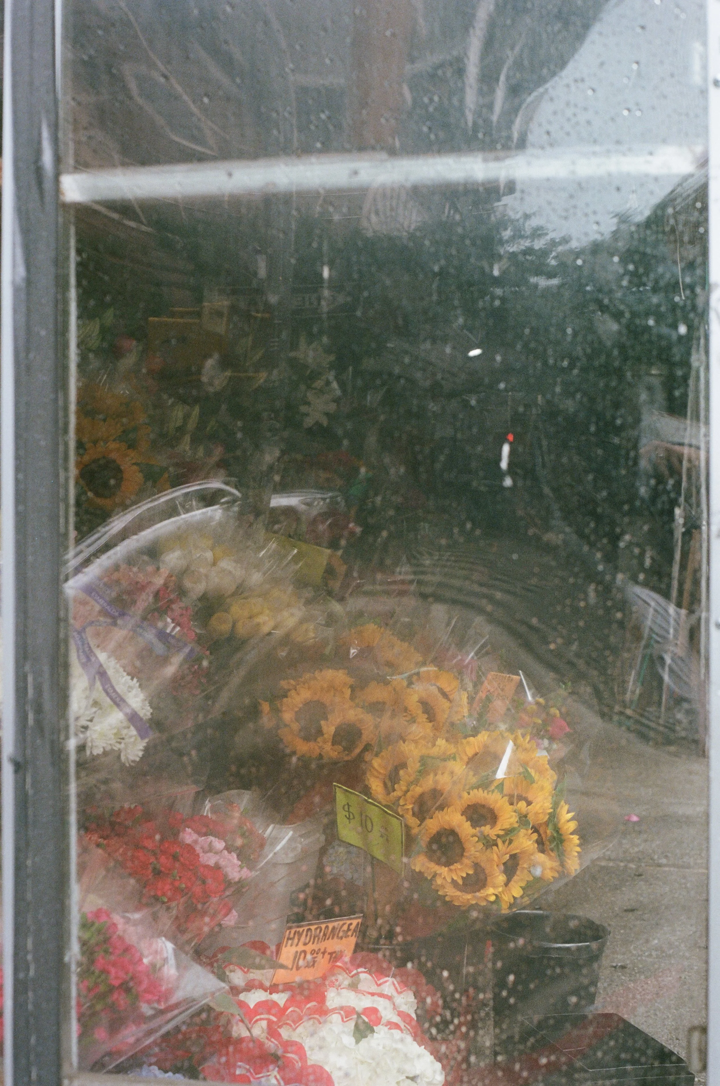 Flowers for Sale; New York City; 35mm Film; 2024