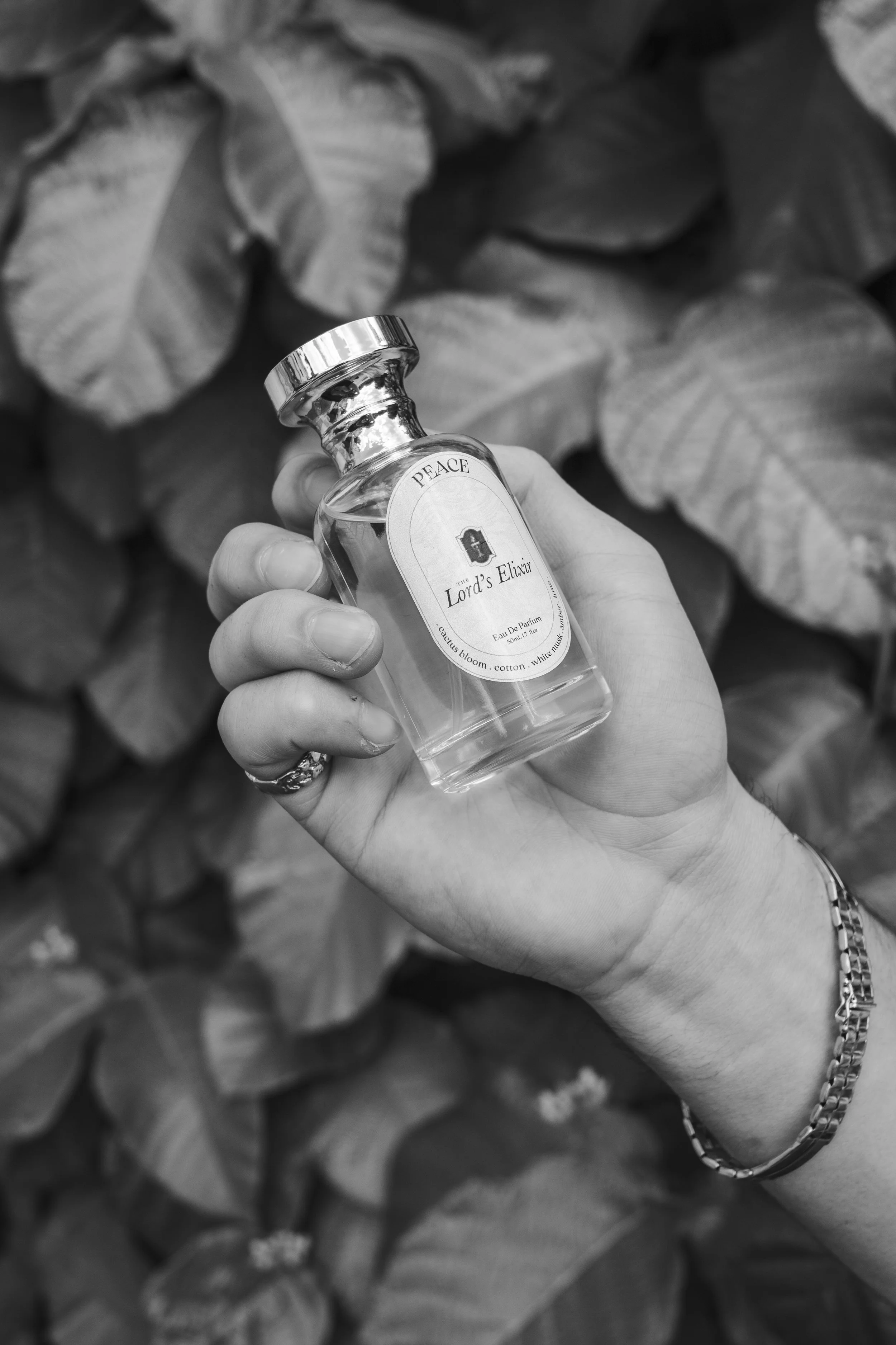 A hand holding a small glass bottle labeled 'The Lord's Elixir,' with the word 'PEACE' on the cap, in front of large leaves.