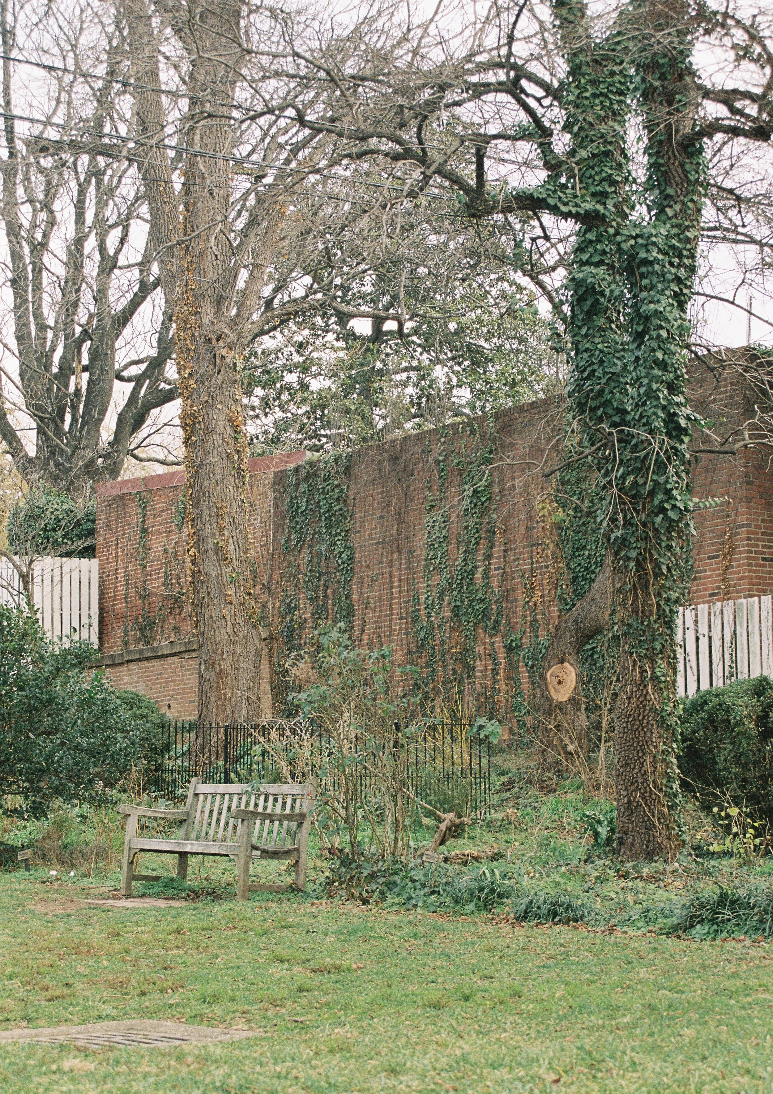 Bench; Washington DC; 2024