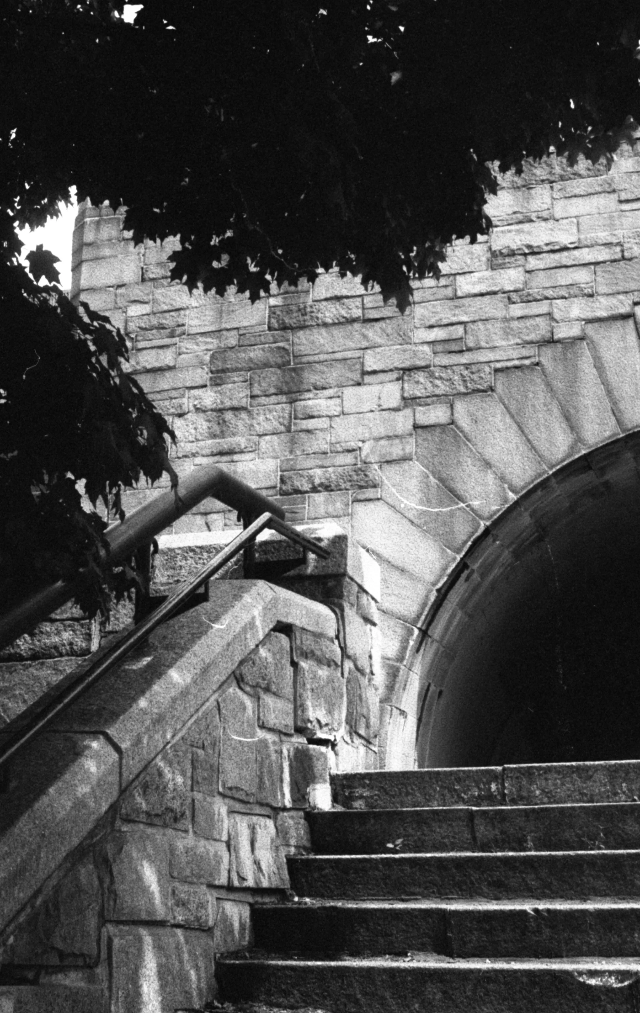 Walk in the Park; New York City; 35mm Film; 2024