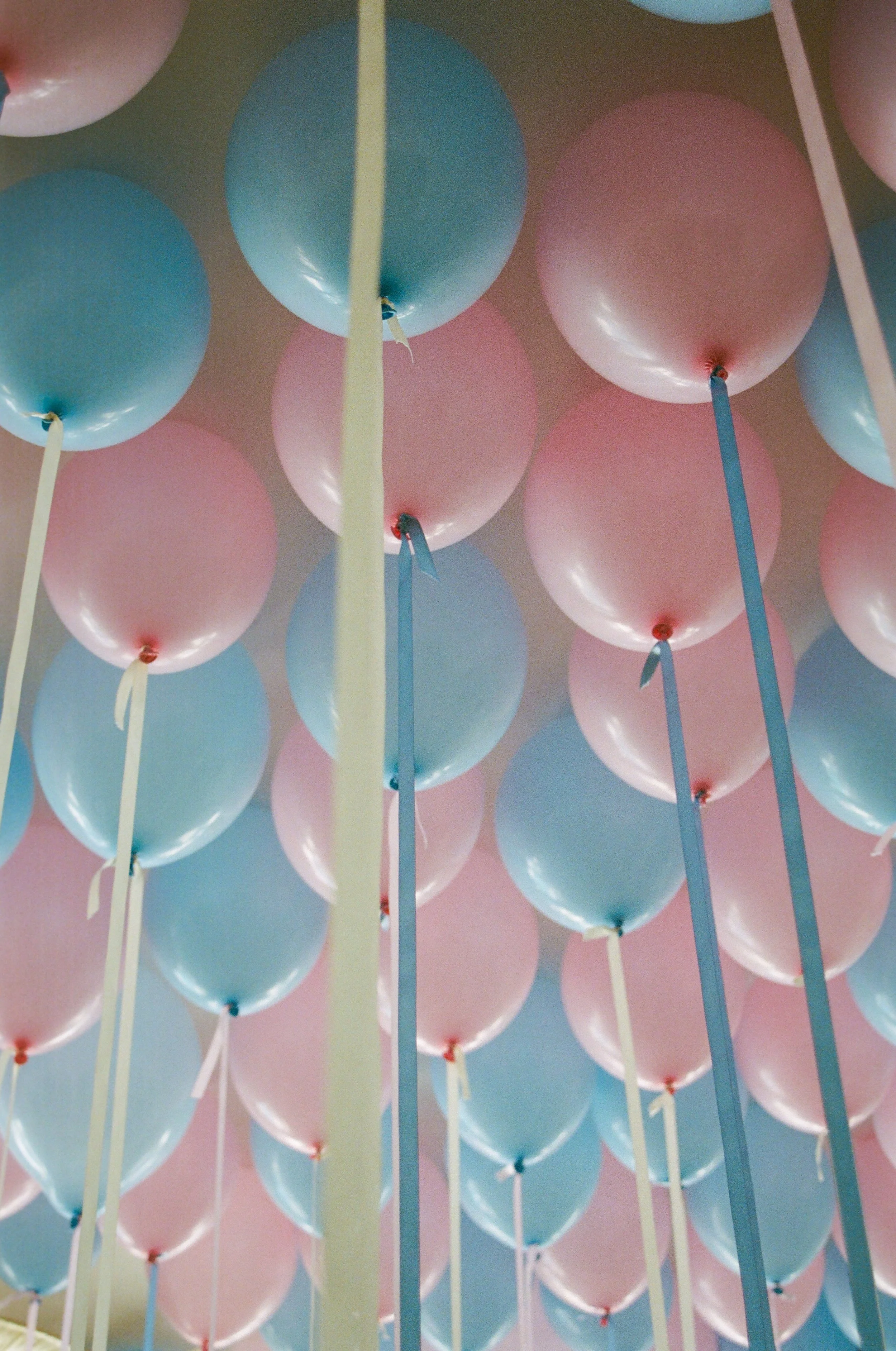 Multiple pastel-colored balloons in pink, blue, and white, tied with ribbons and floating close to the ceiling.