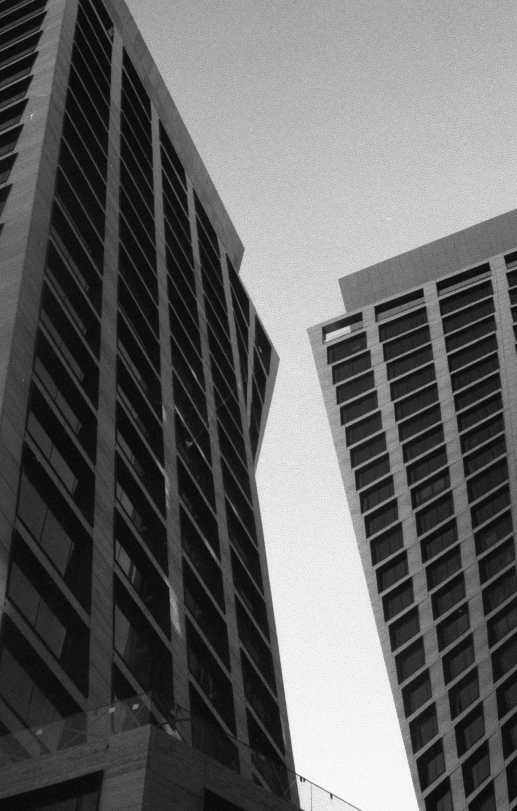 Looking Up; New York City; 35mm Film; 2024