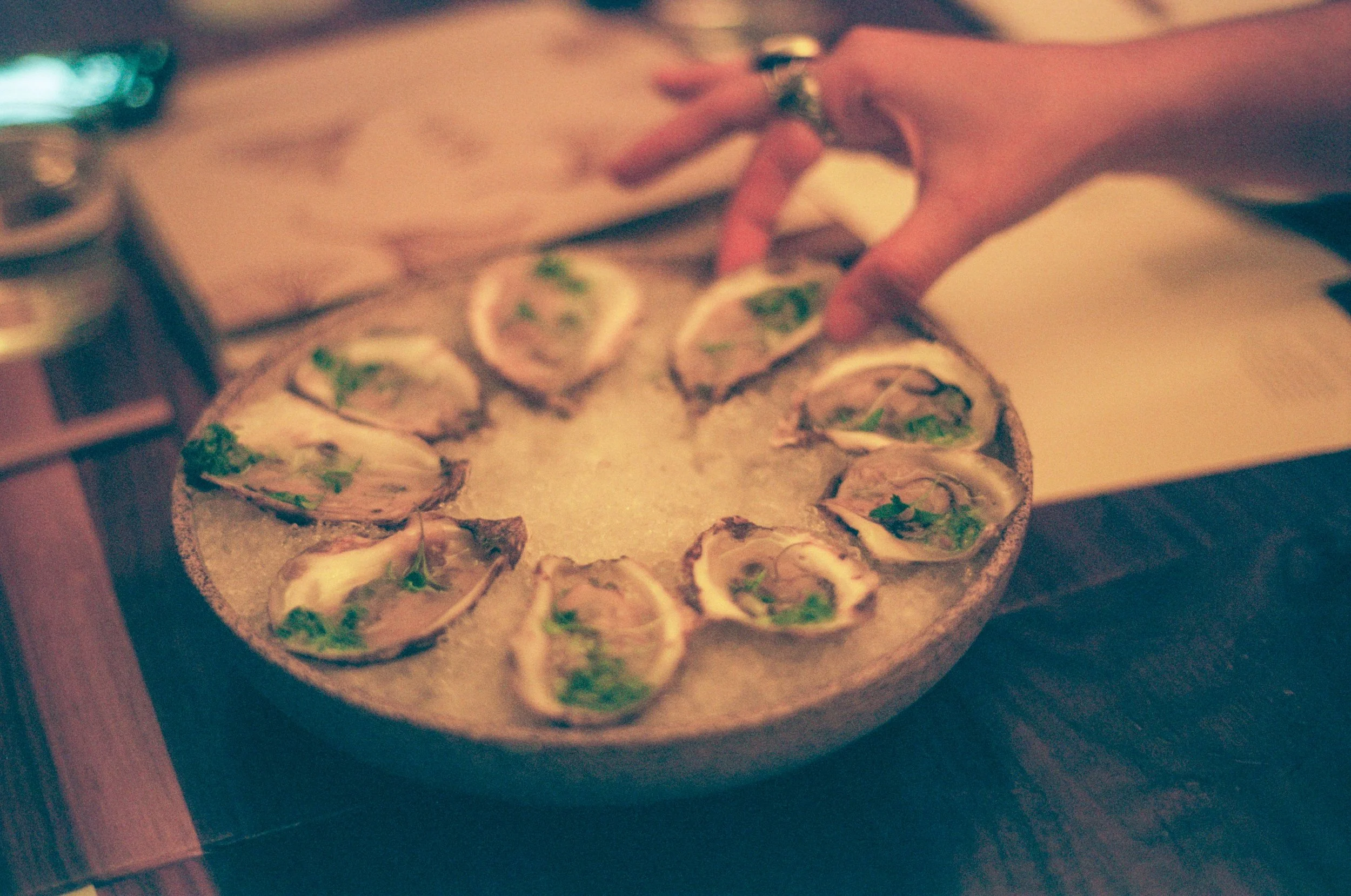 Oysters; Uchi; 35mm Film; 2025