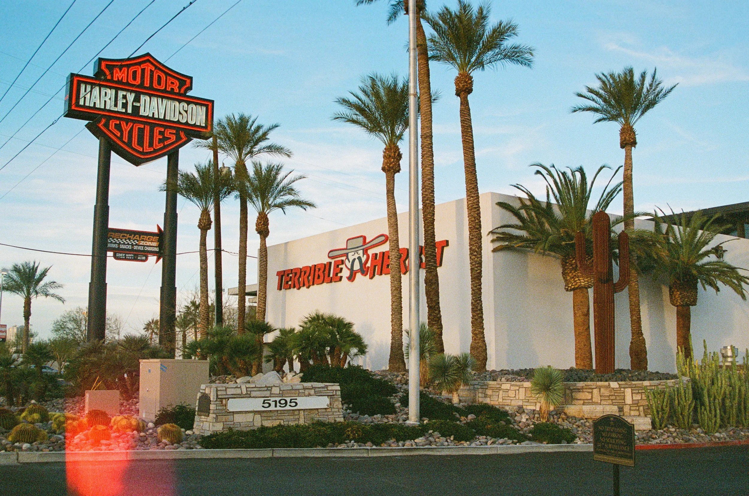 Harley Light Leak; Las Vegas; 35mm Film; 2026