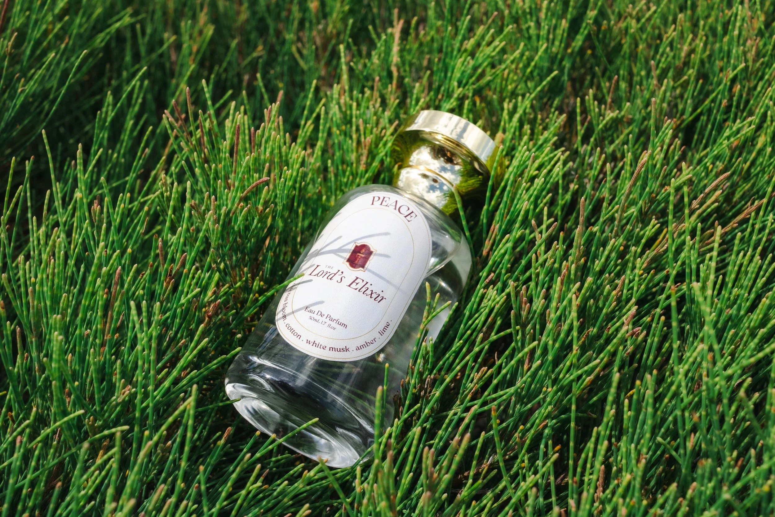 A clear perfume bottle labeled 'The Lord's Elixir' lying on green grass.