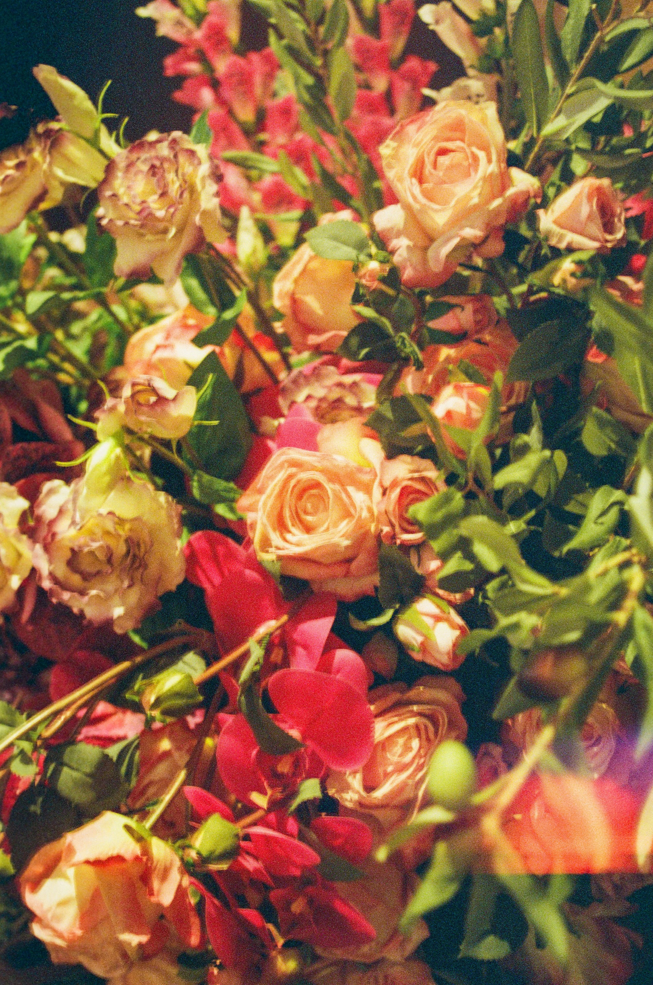 Valentine's Day Light Leak at the Cosmopolitan; Las Vegas; 35mm Film; 2026