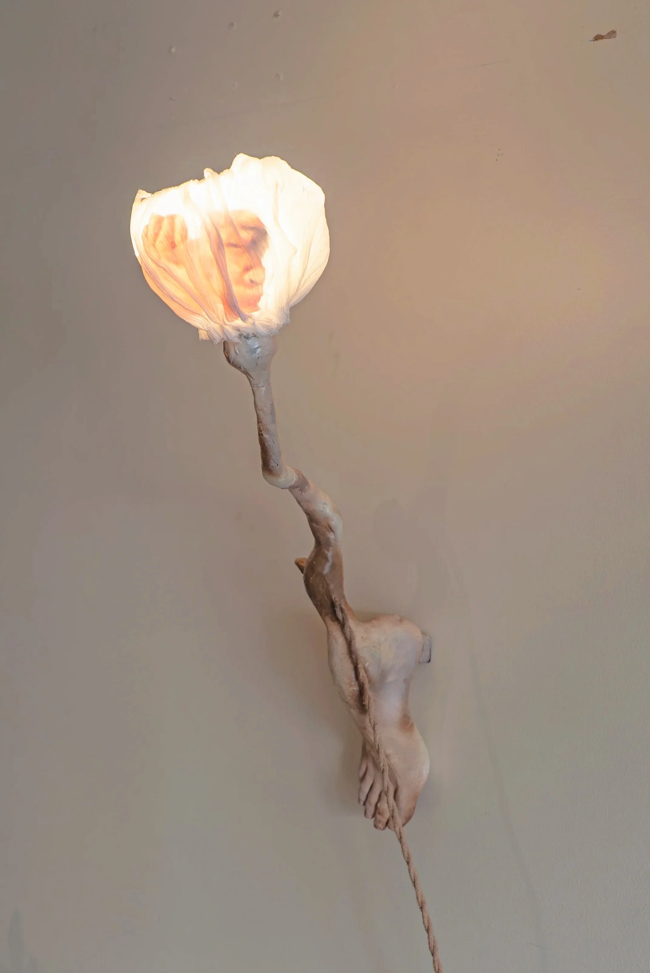 DSC04164.jpg
