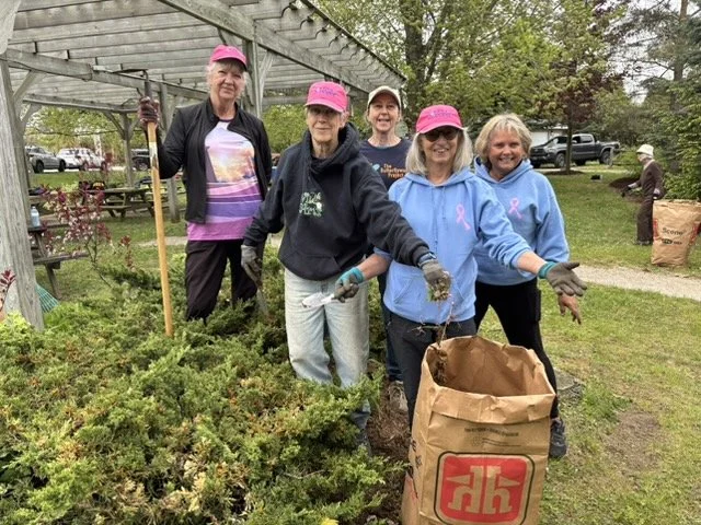Gardening at Rotary Perkins Park, Southampton: May 23, 2026