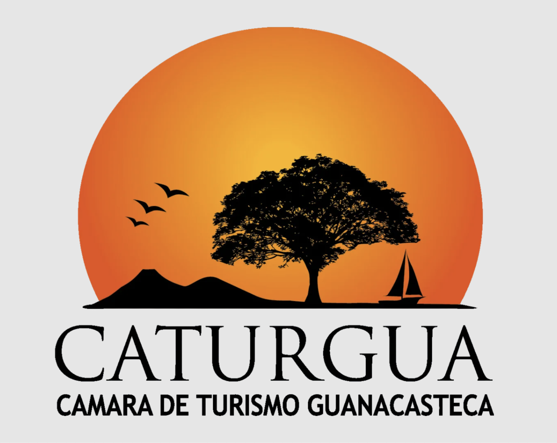 Screenshot 2025-03-22 at 9.00.55 AM.png