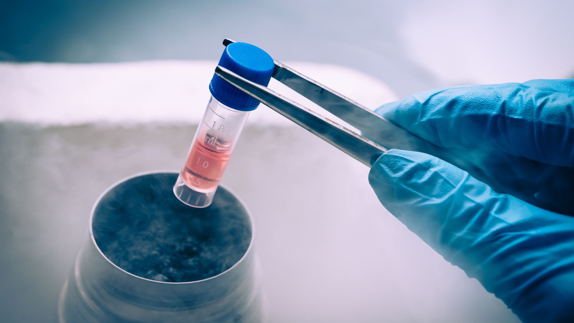 What Is the Difference Between Stem Cell Therapy and PRP?
