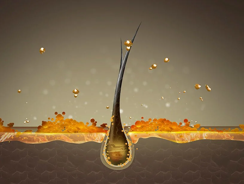 hairstemcells.jpg