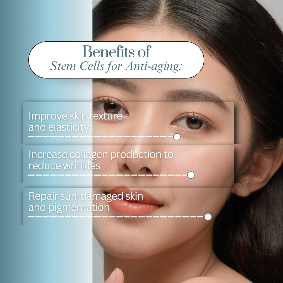 Close-up of a woman's face with text overlay listing benefits of stem cells for anti-aging: improving skin texture and elasticity, increasing collagen production to reduce wrinkles, repairing sun-damaged skin and pigmentation.