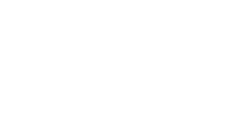 SVNA LAB