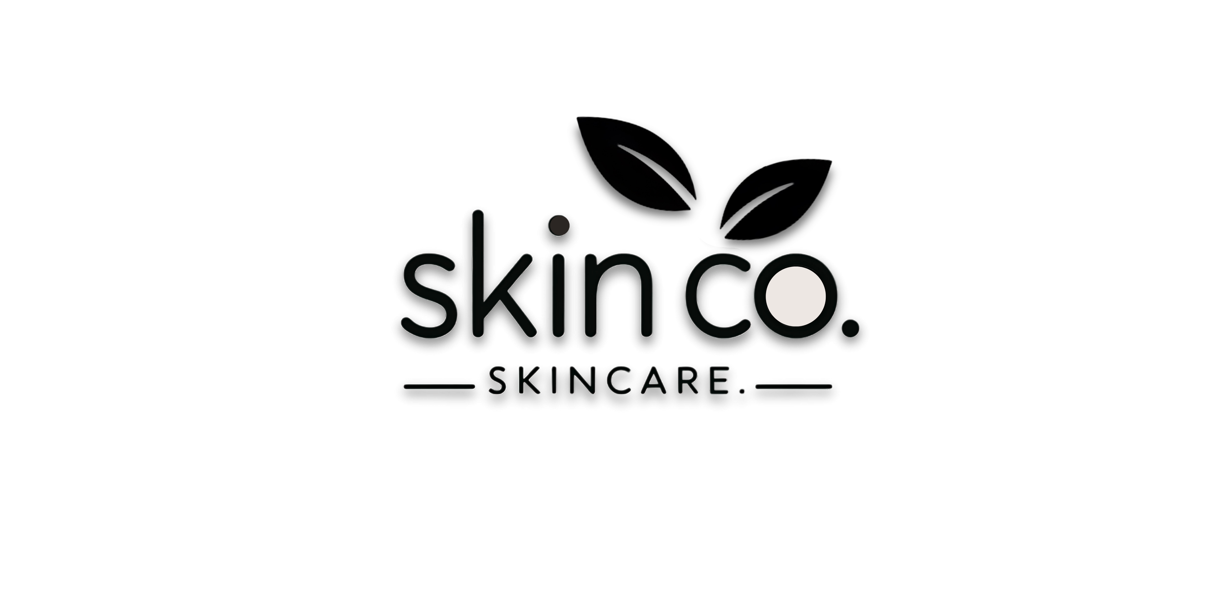 Black background with the logo 'Skin Co. Skincare' in white text, featuring two outline leaves above the word 'skinco'.