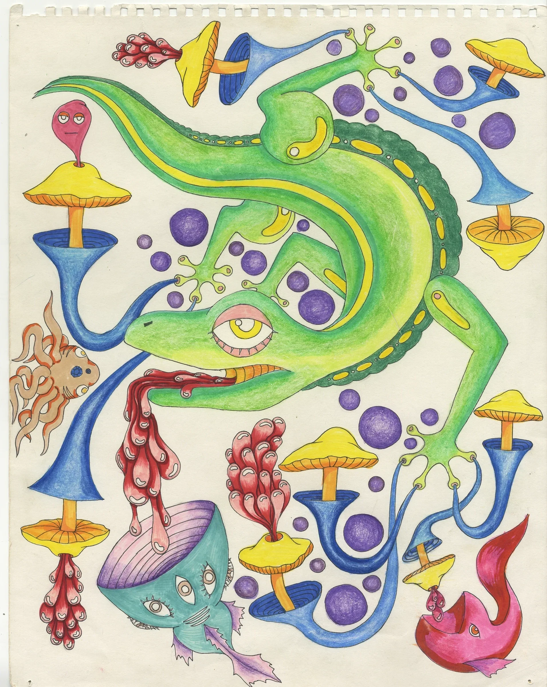 Scan_5.webp