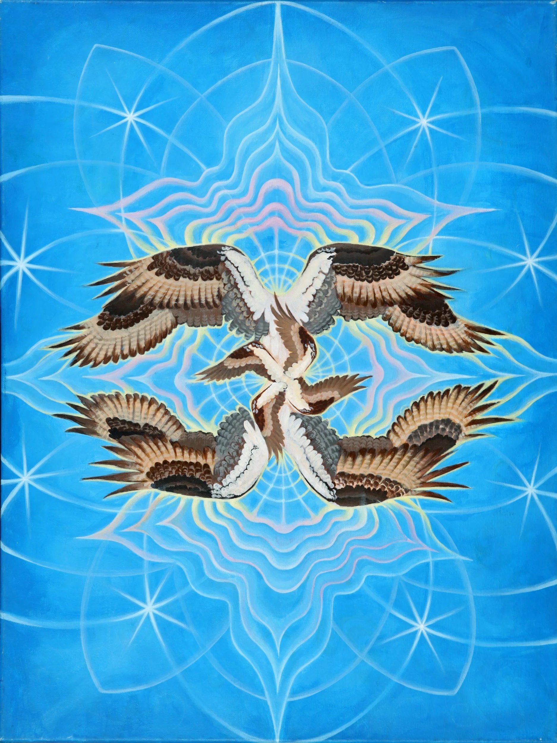 wing+-+rbg.jpg