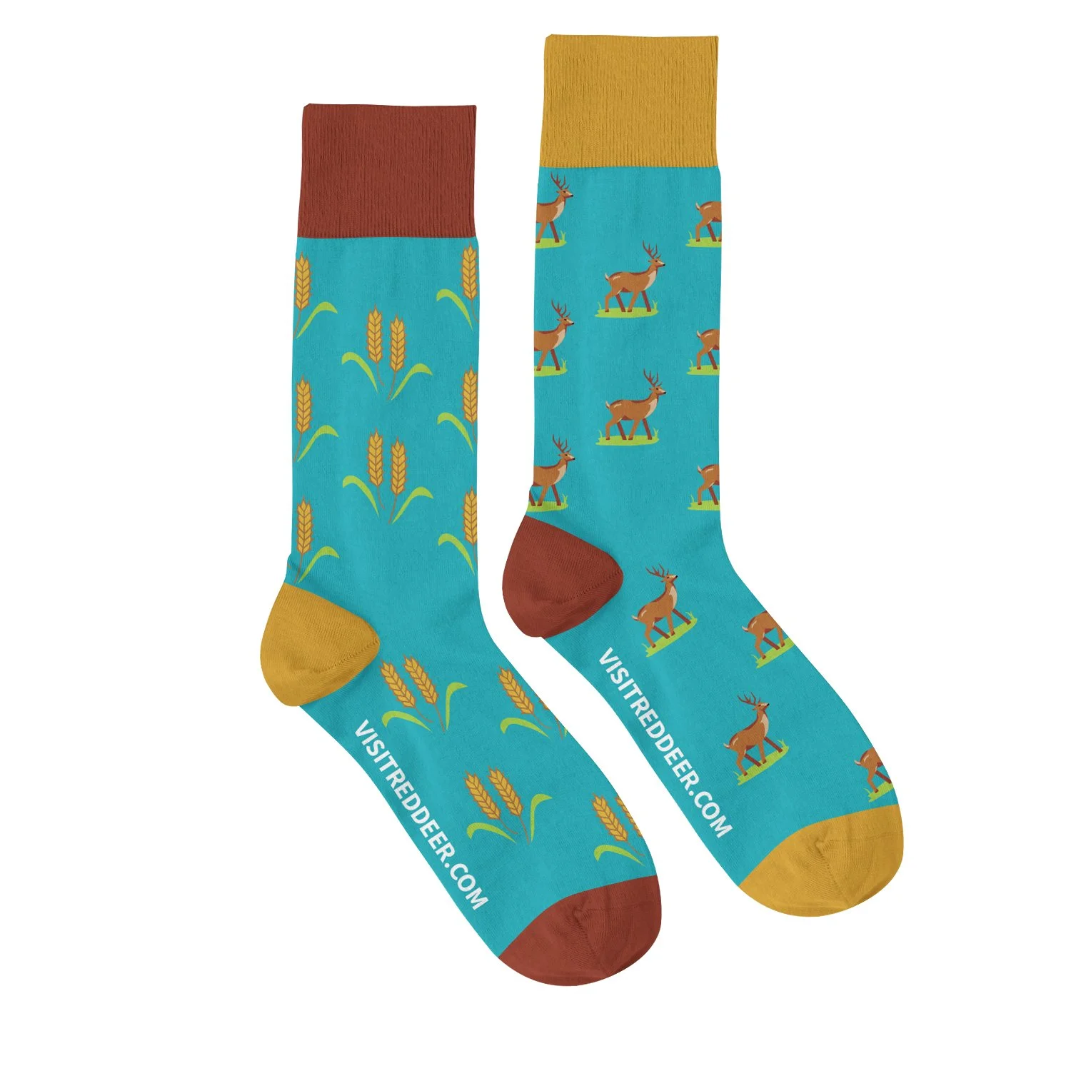 TORDUNI002 Mockup Tourism Red Deer.jpg