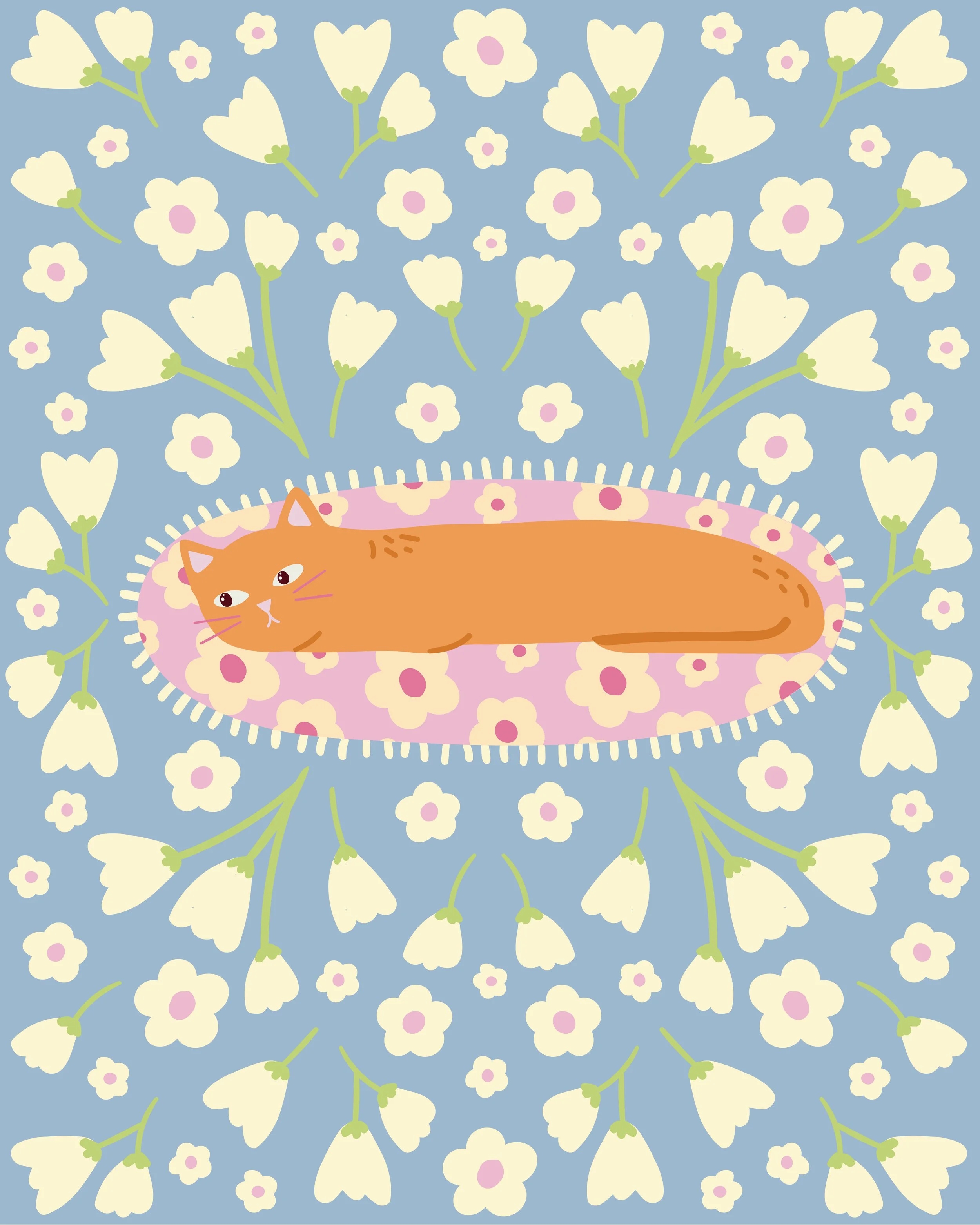 02. Cat Nap - Orange